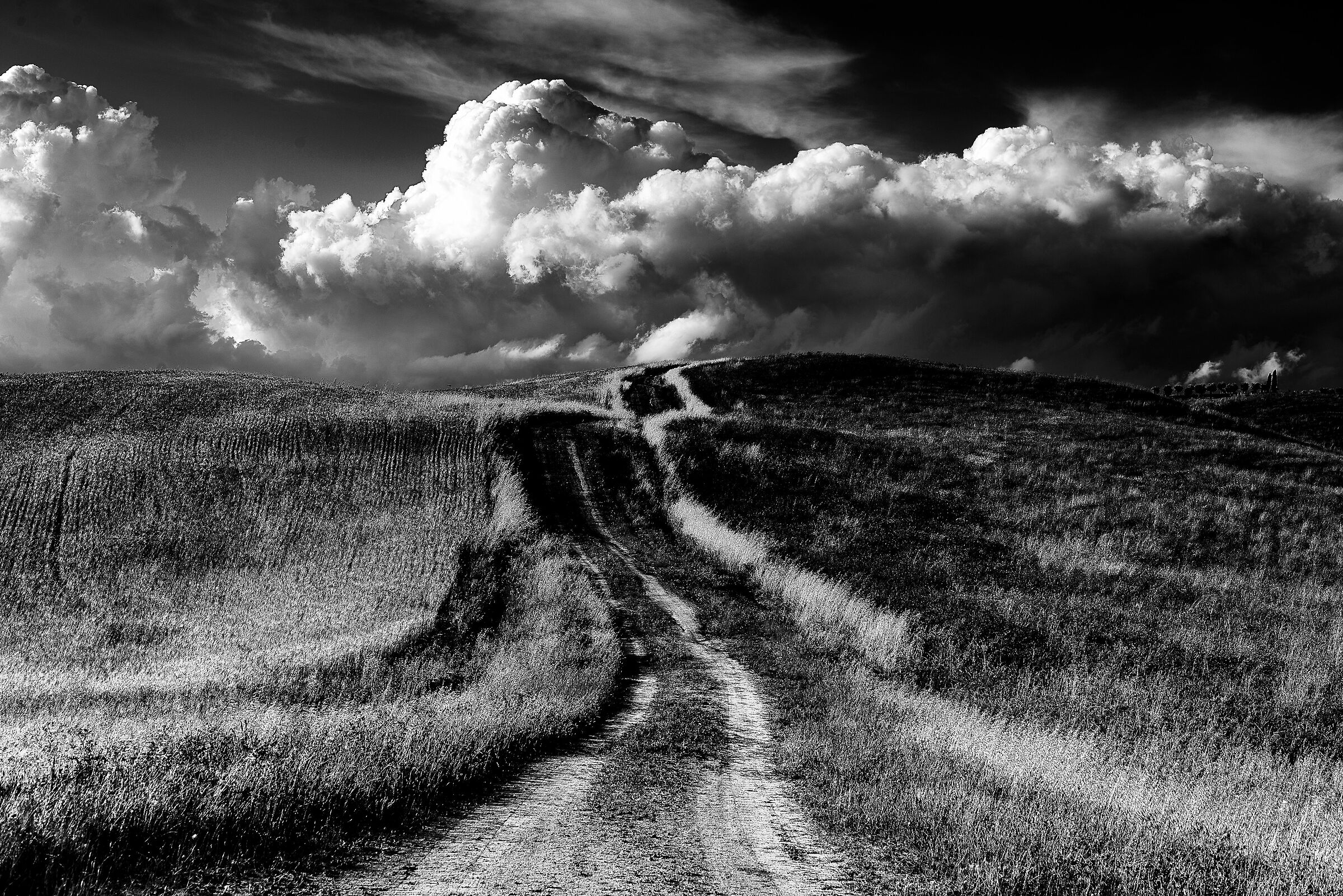 paesaggio val'orcia presso san quirico(si)