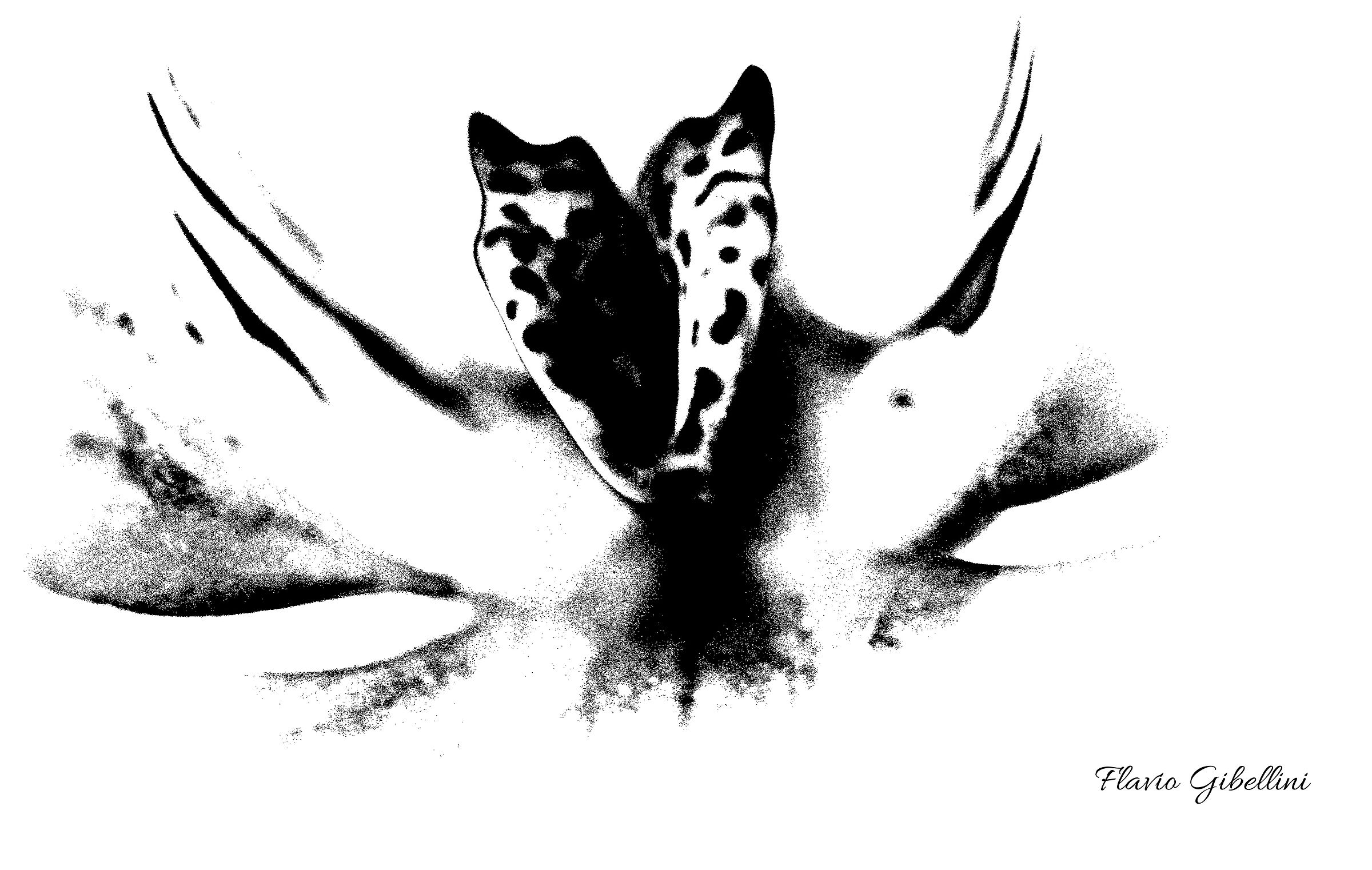 Nuova icona per Rorschach