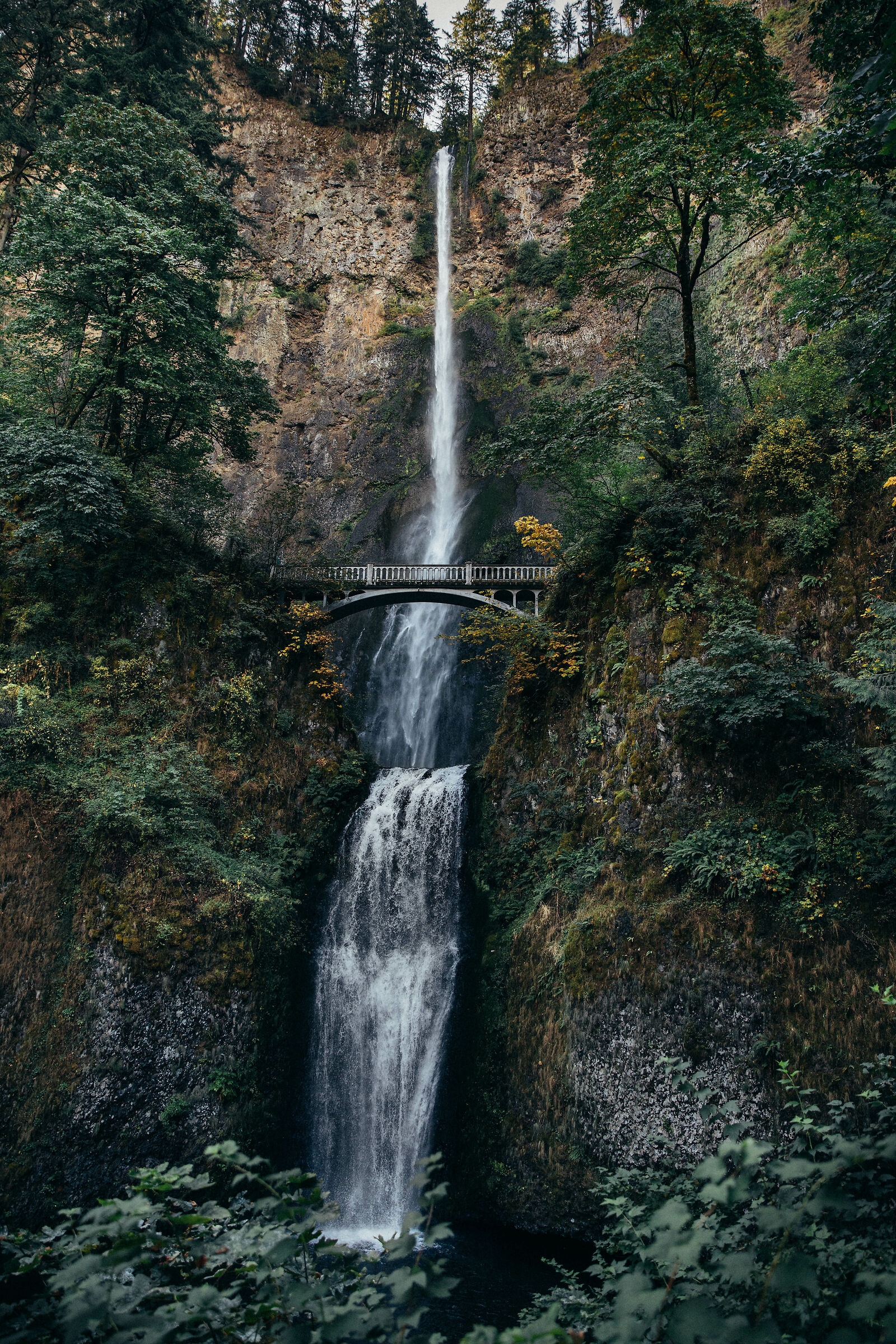 East of Portland, Oregon