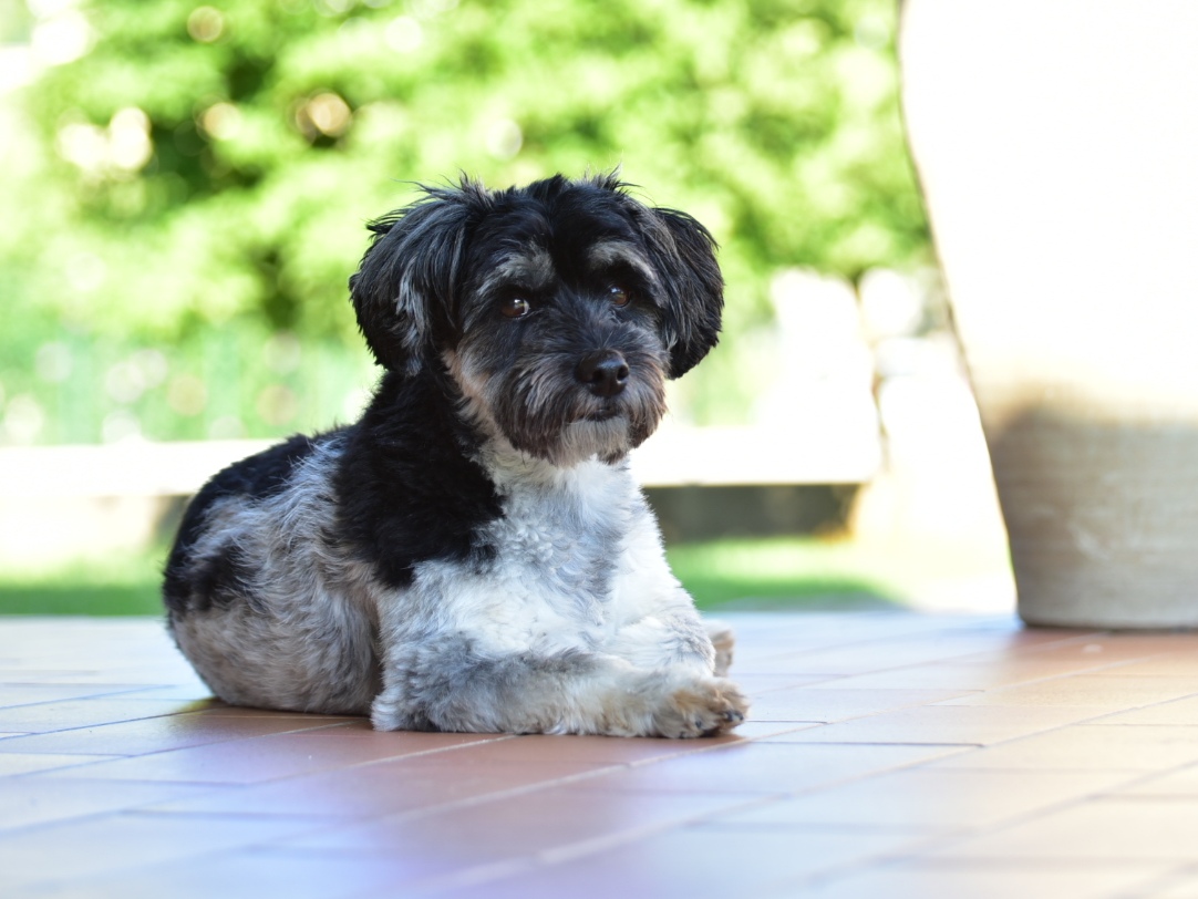 Ma cosa stai facendo?