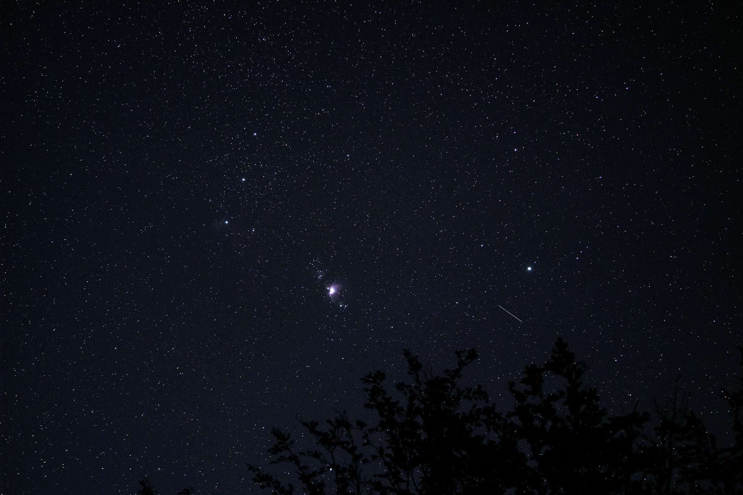 la costellazione di Orione