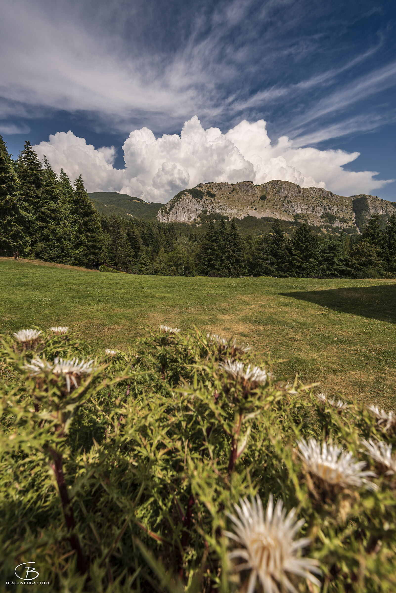 Pania di Corfino dal Parco dell'Orecchiella