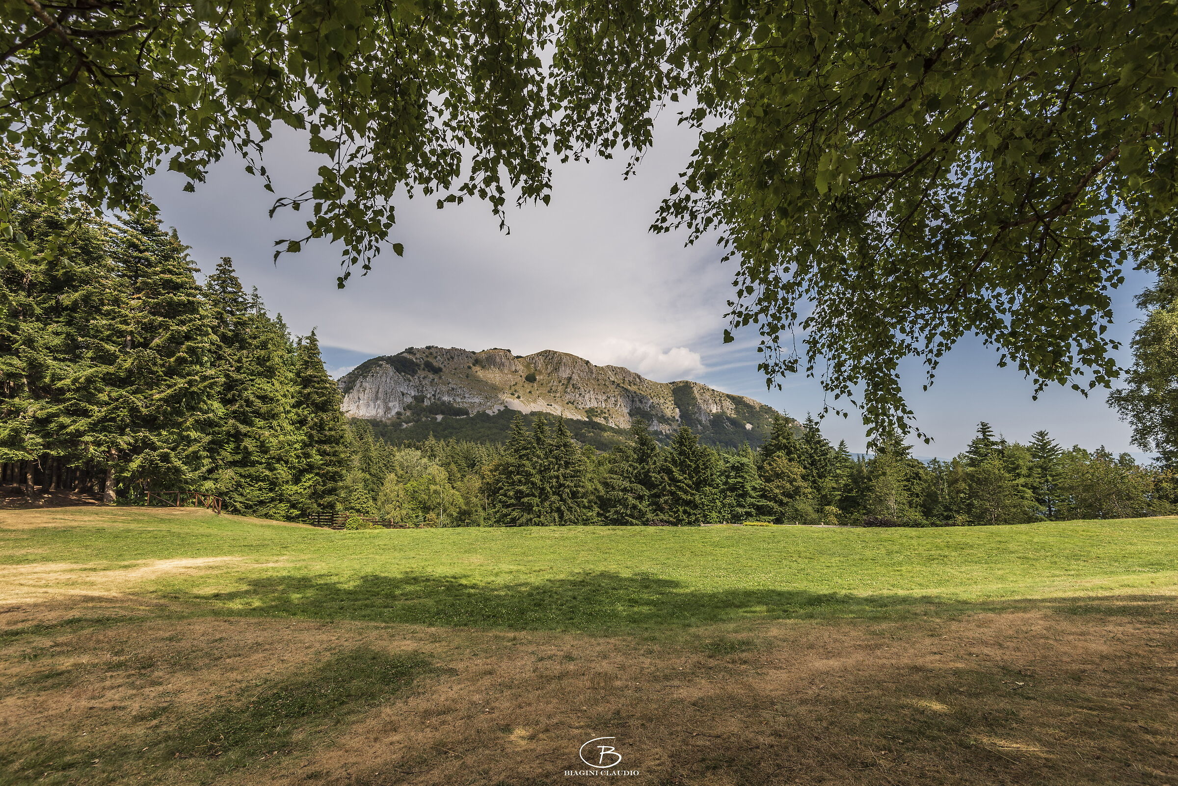 Pania di Corfino dal Parco dell'Orecchiella