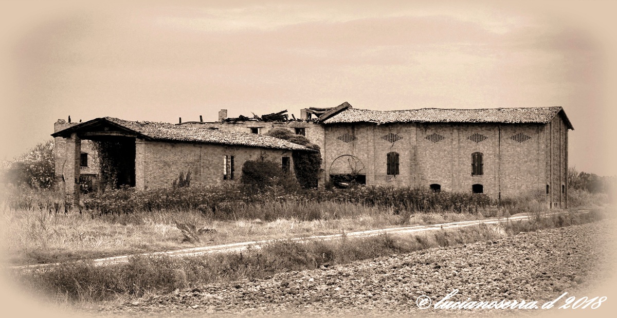 Un tempo qui gioiva la vita... ora è solo il silenzio