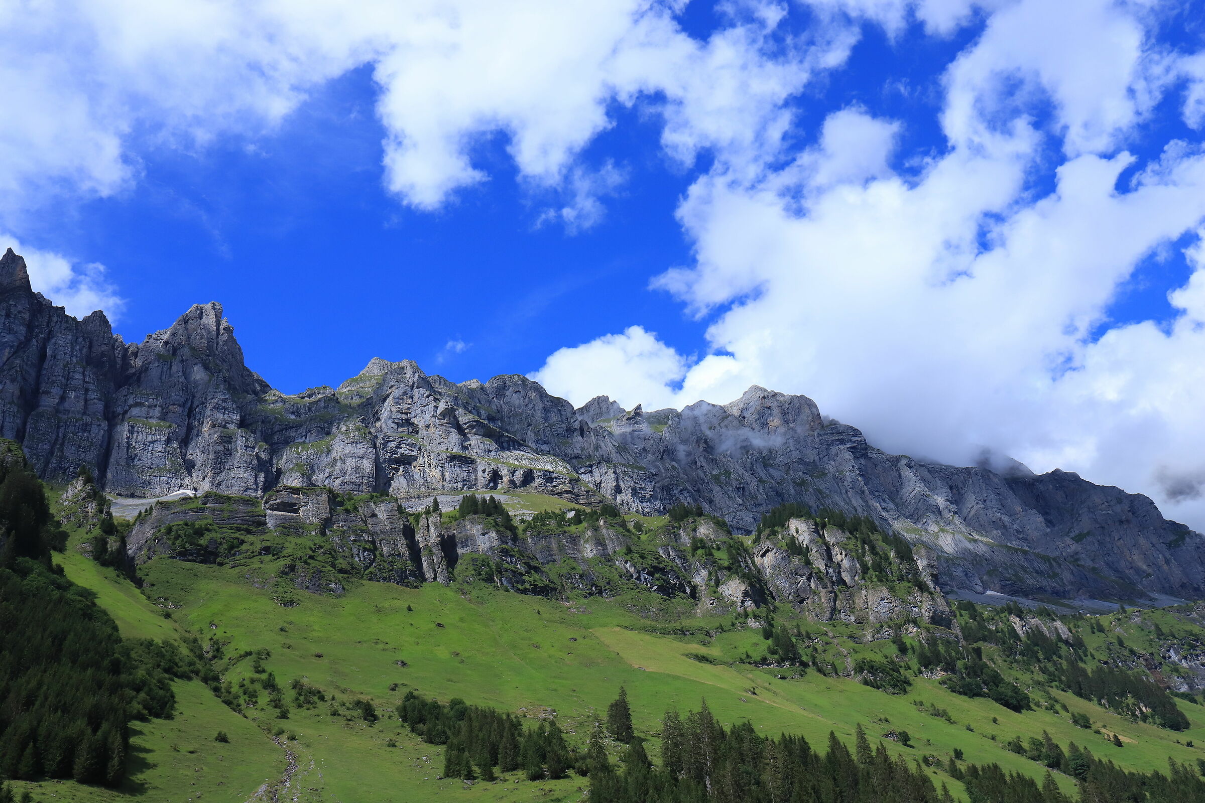 Switzerland, New Zealand