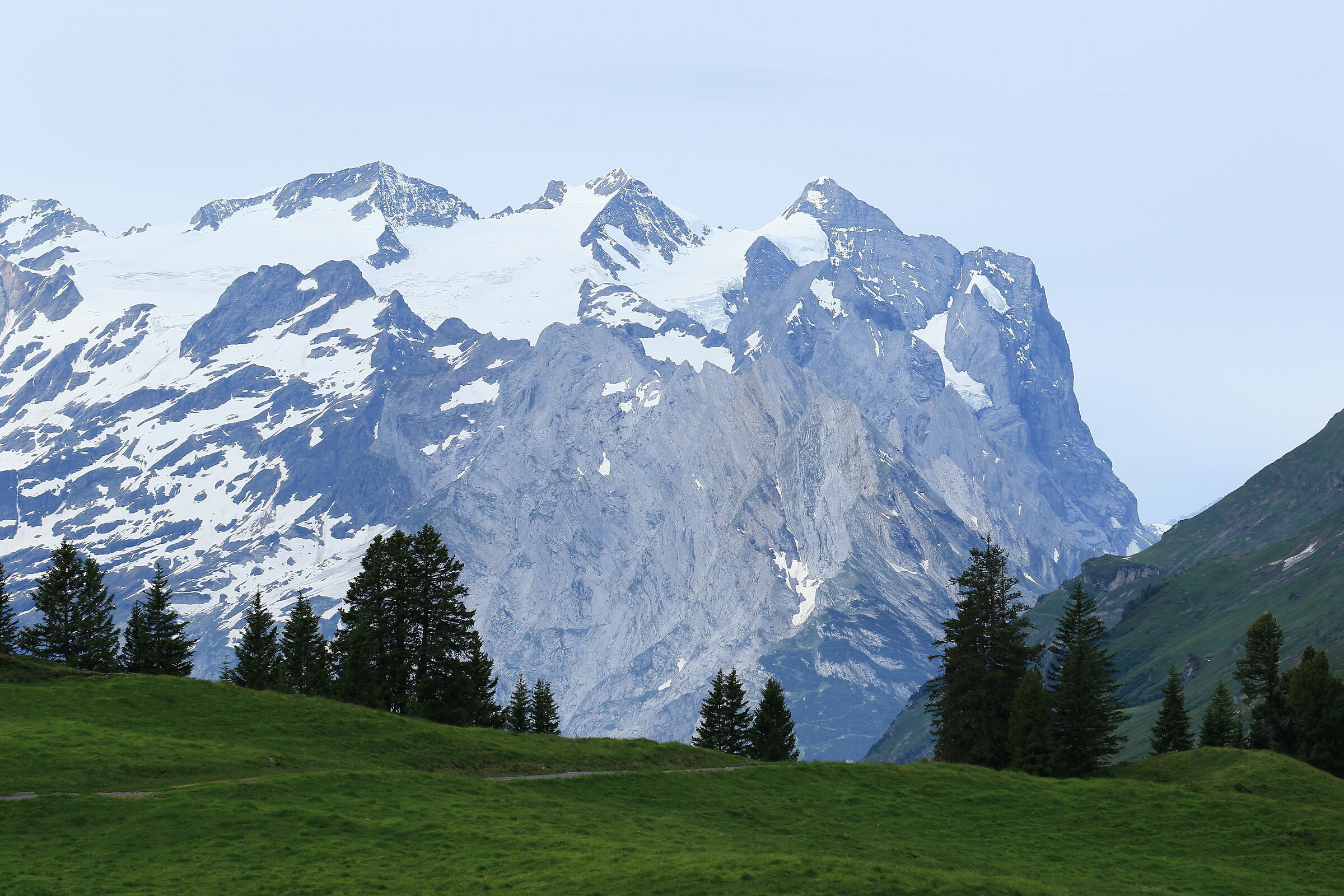 Switzerland, New Zealand