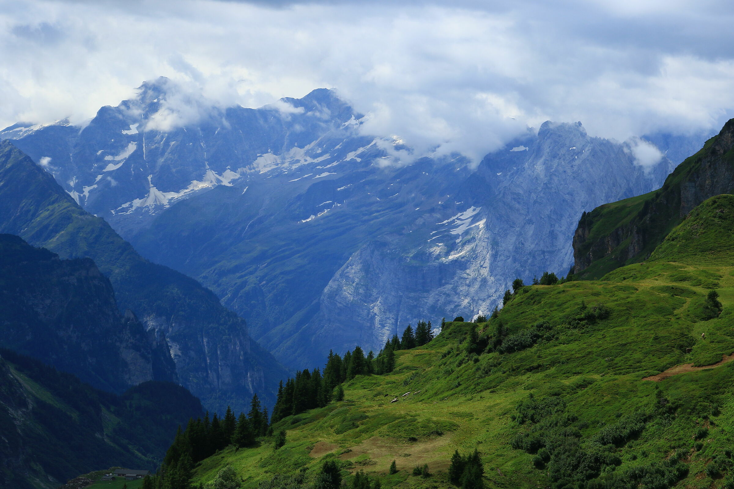 Switzerland, New Zealand