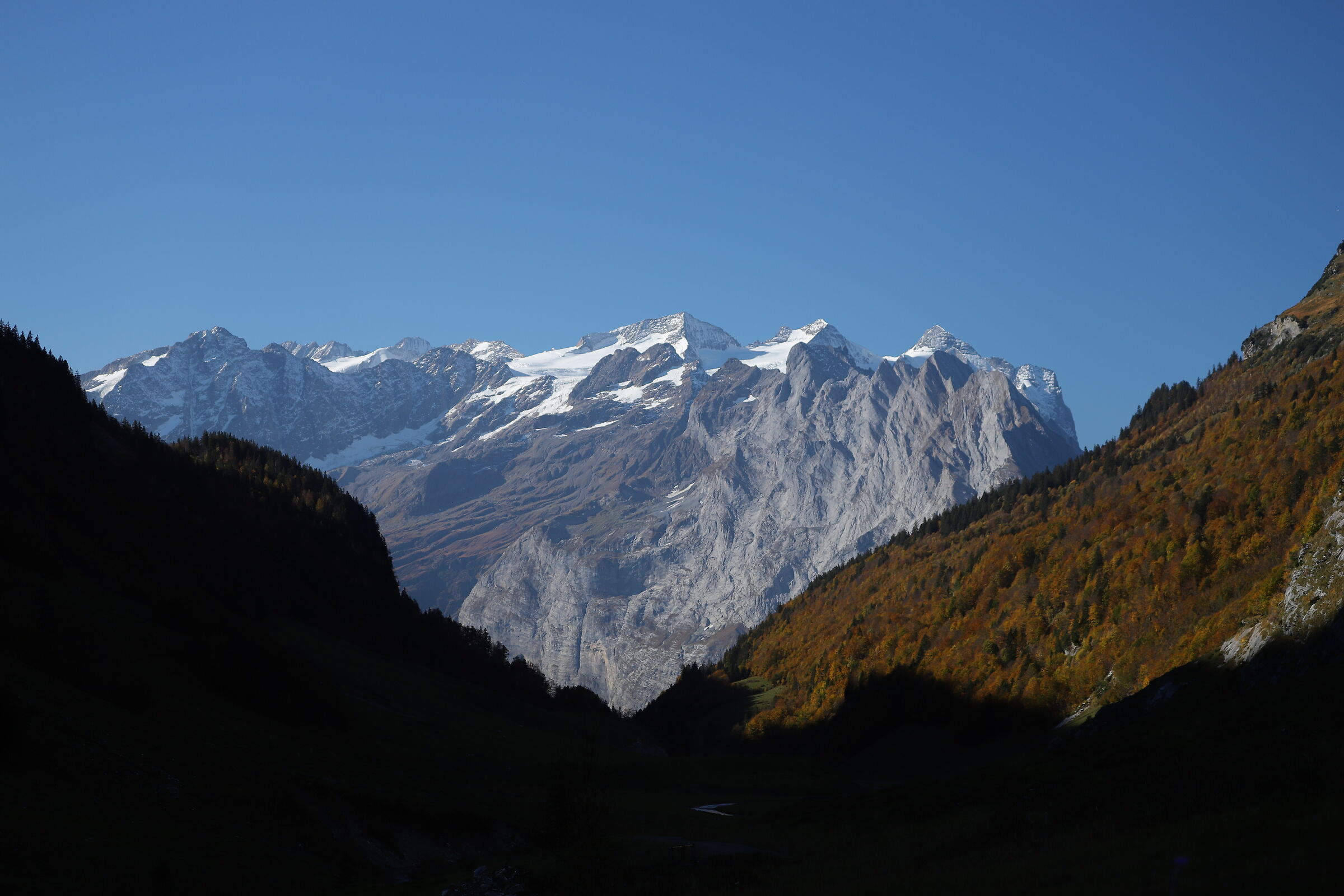 Switzerland, New Zealand