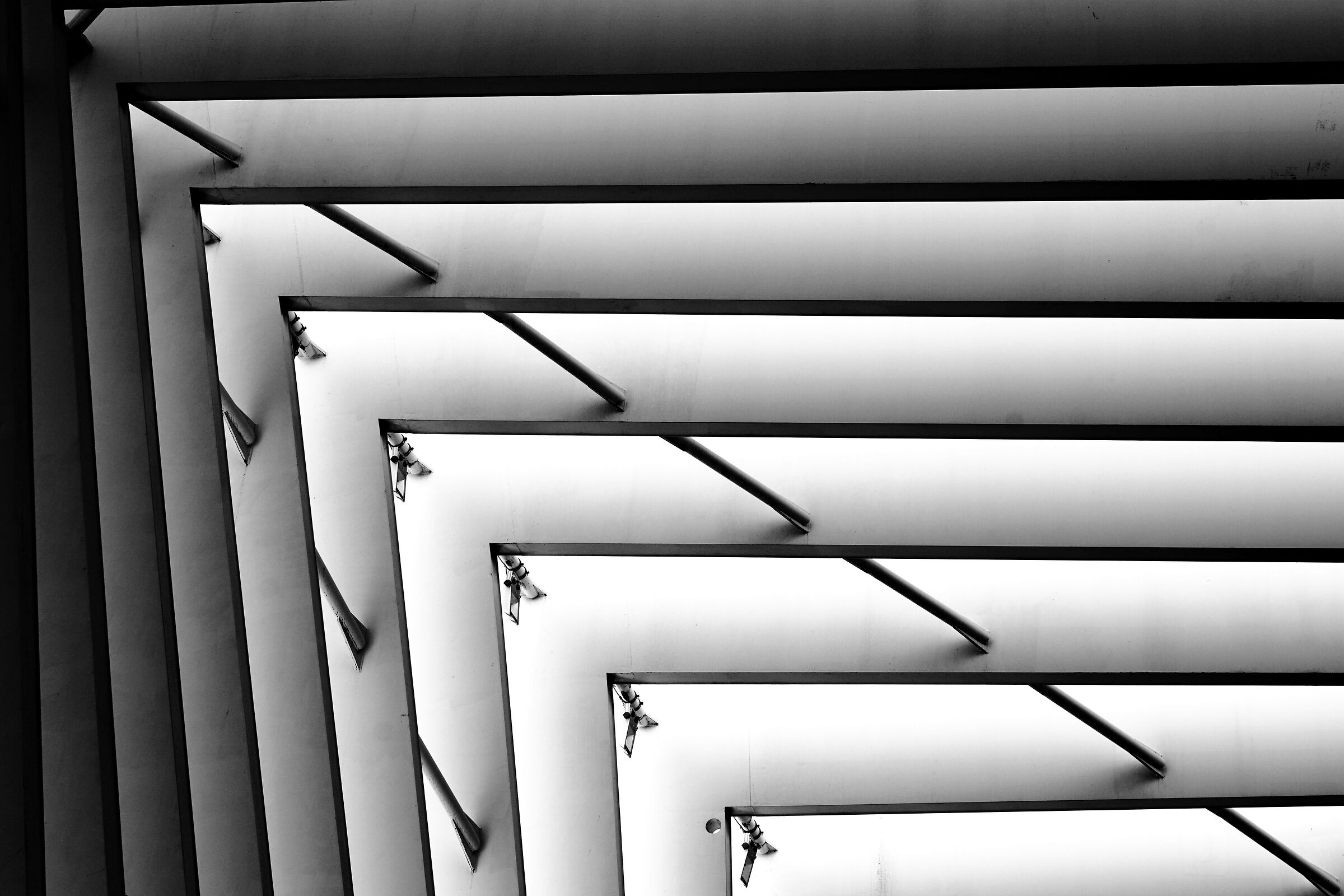 Geometry and contrasts