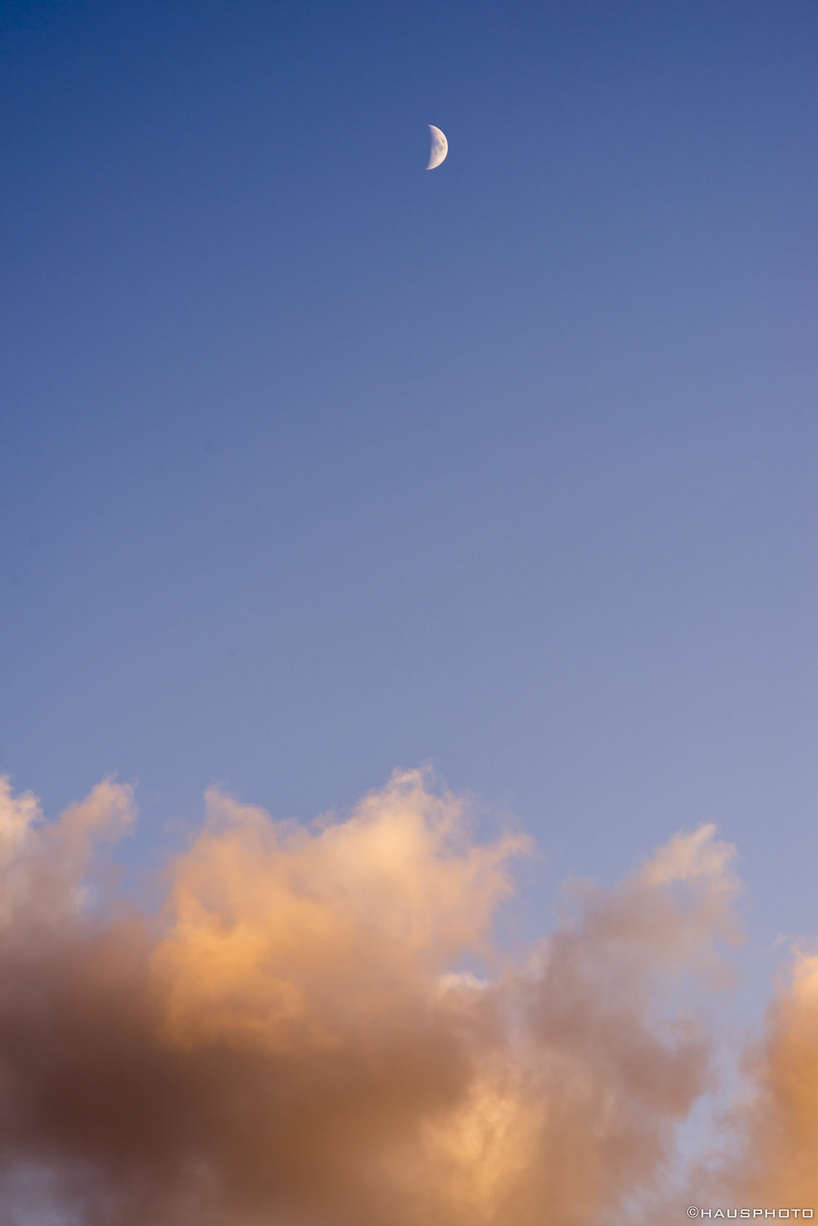 Tuffati... che è morbido!