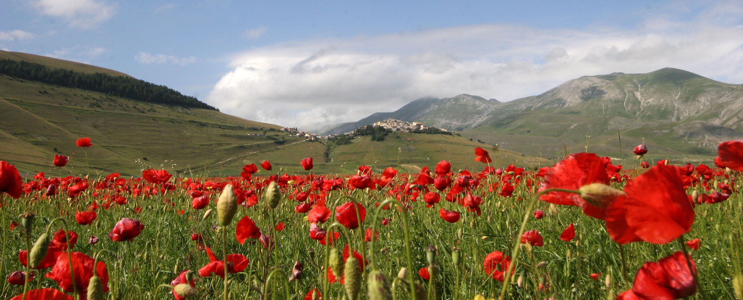866/1 Castelluccio