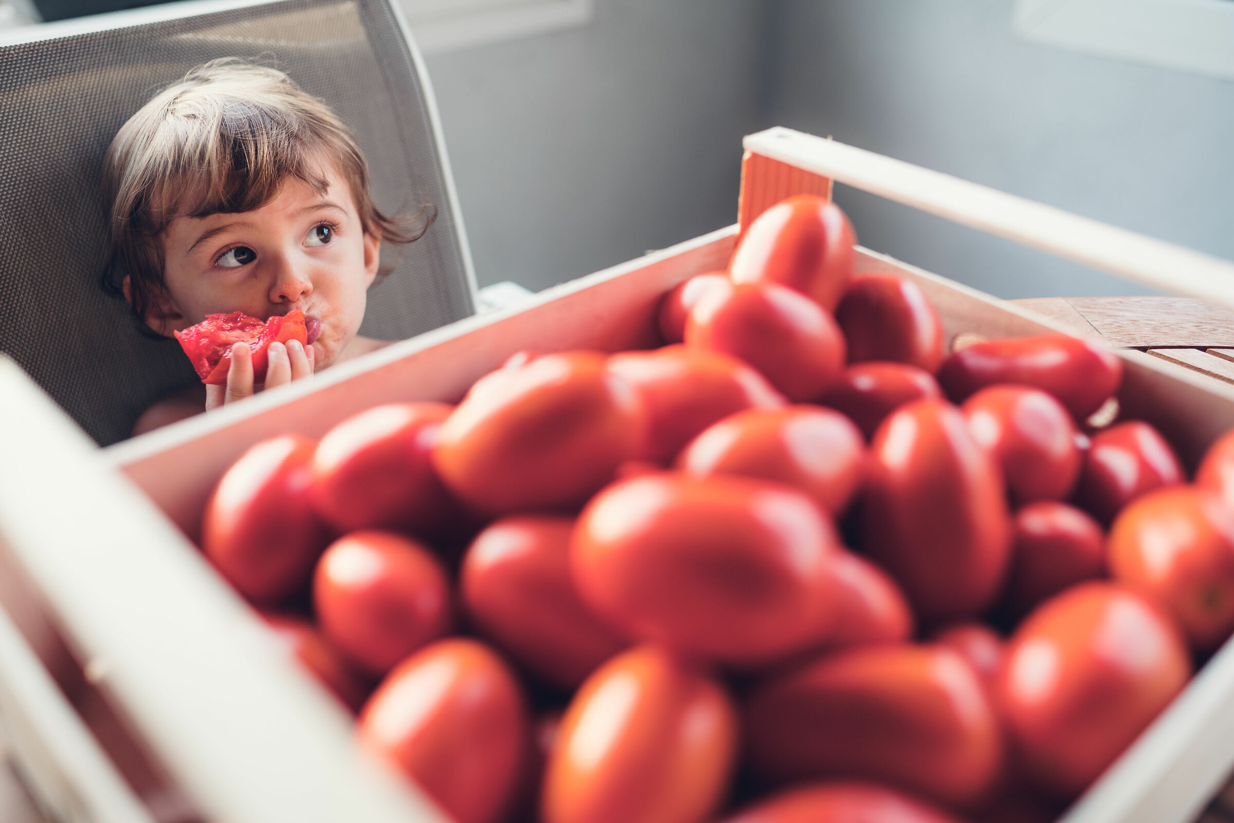 Tomatoes that passion