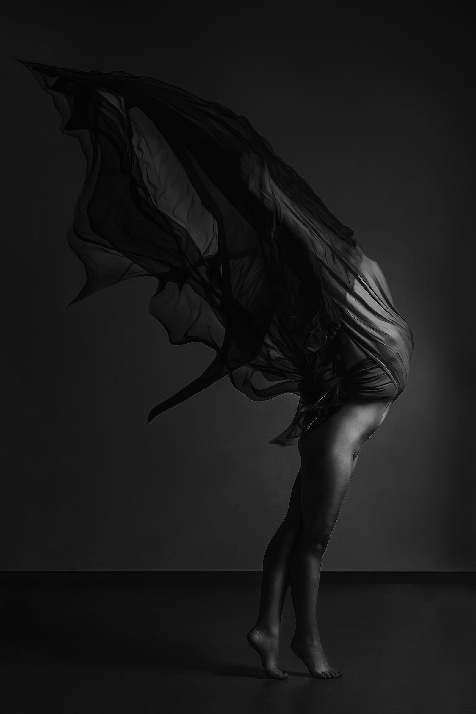 Freedom