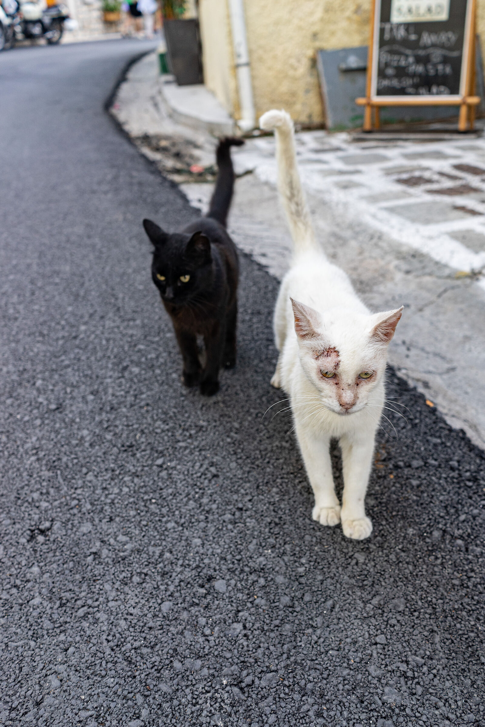 Black and white image