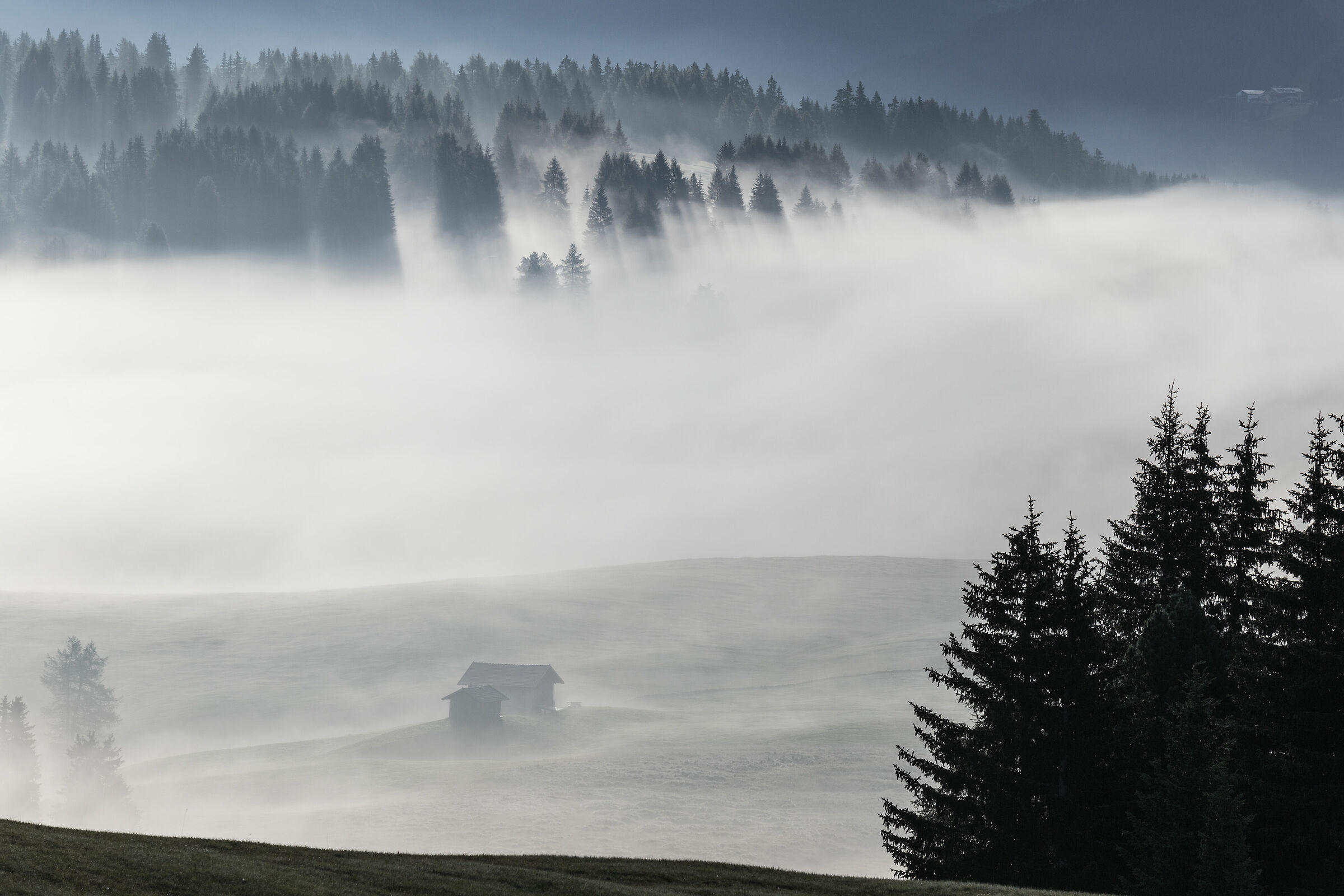 Avvolti dalla nebbia
