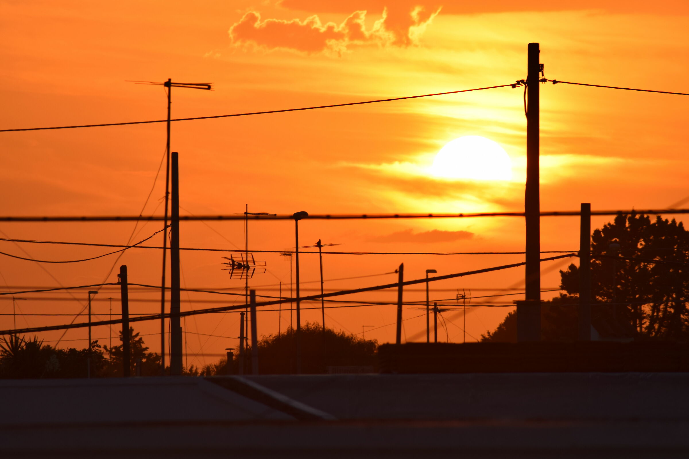 Intrecci nel tramonto