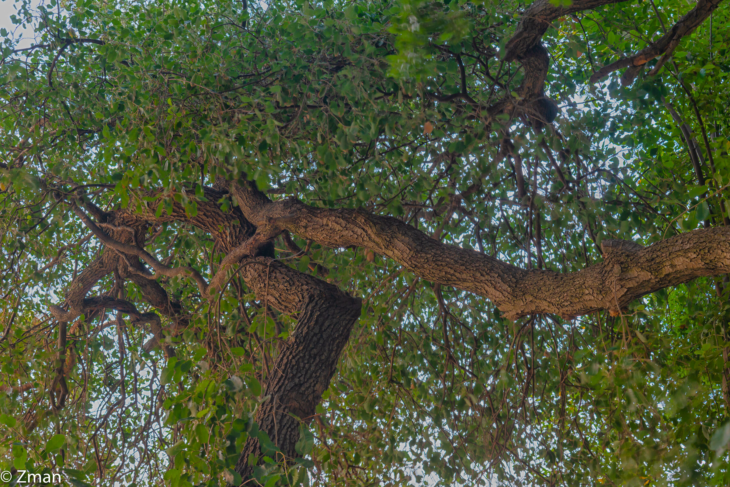 Bella. Congratulazioni.