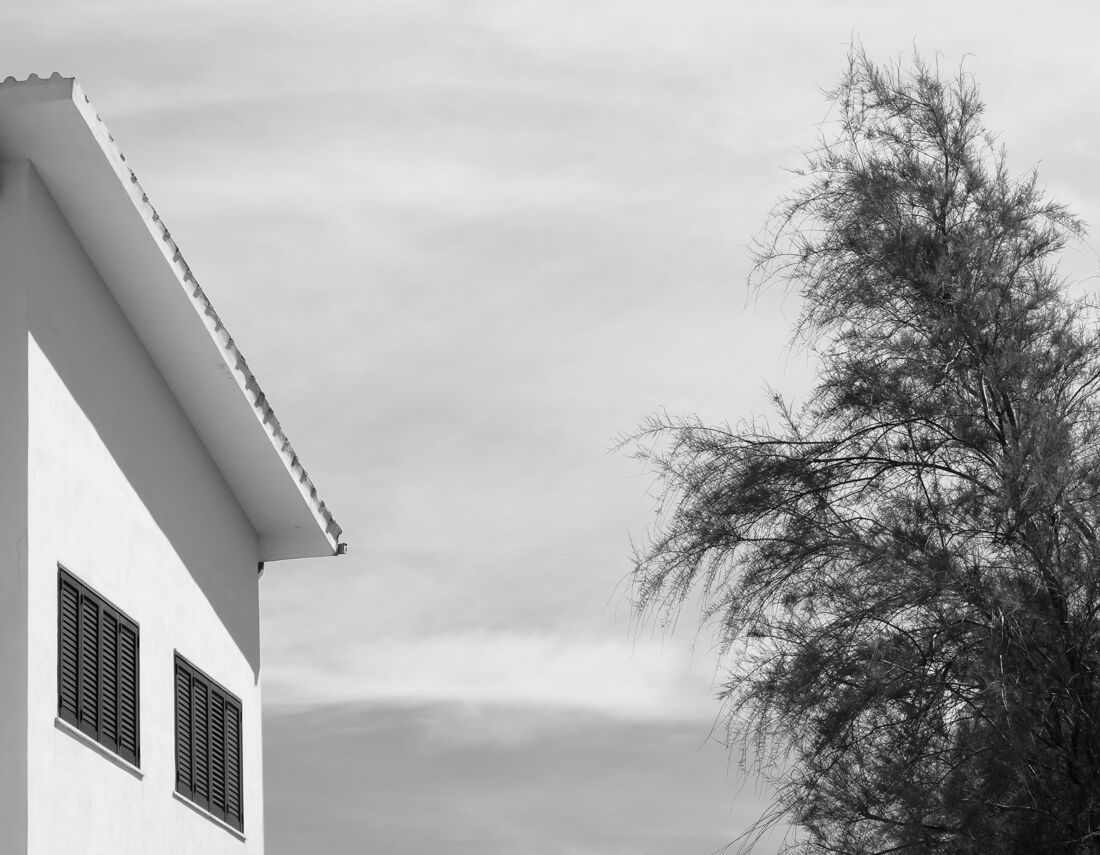 Archinature1