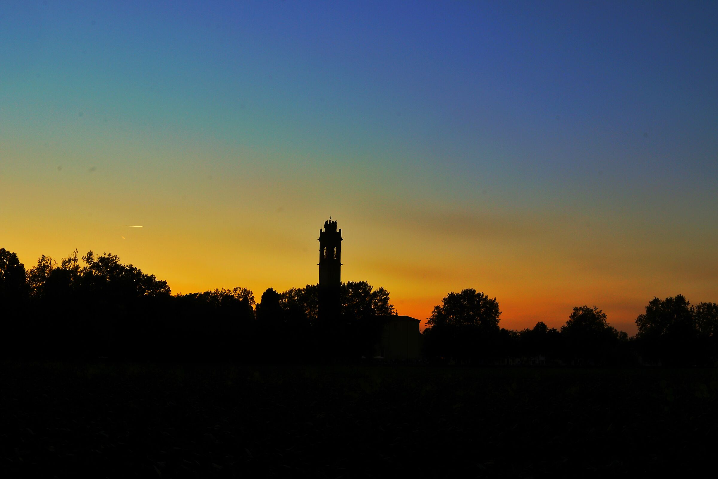 Untitled Photo