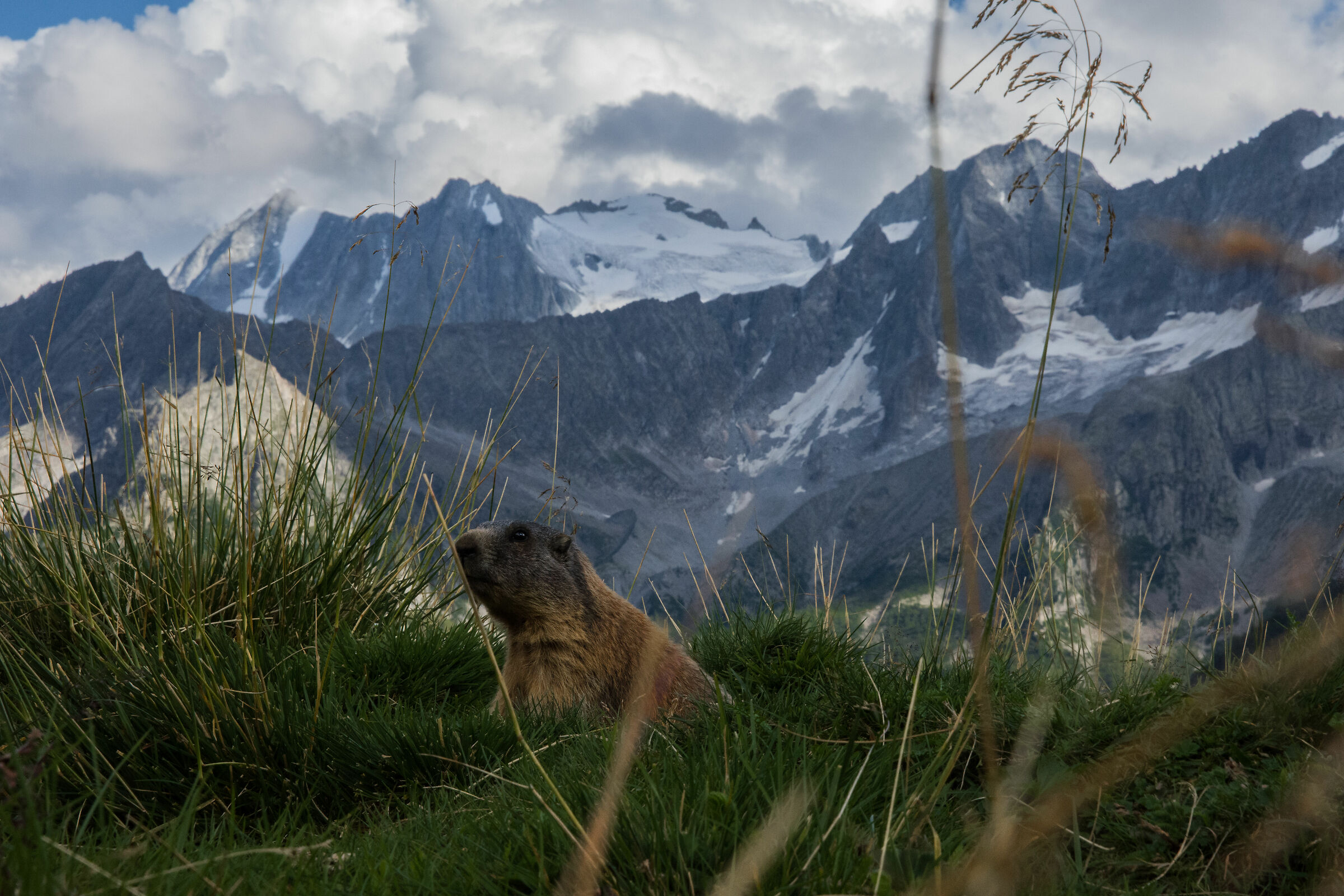 Che bella vista dalla mia casa..