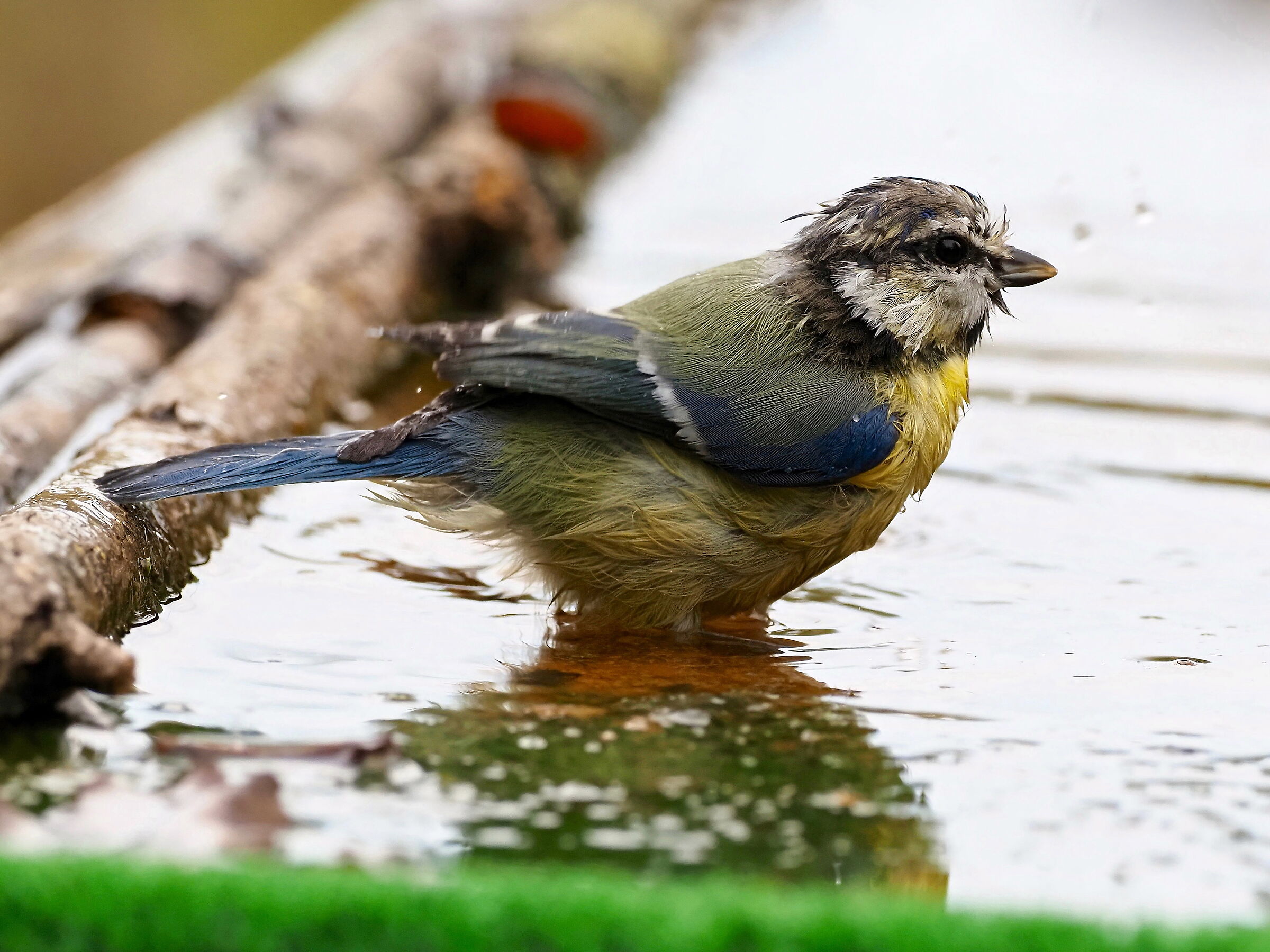 una bella rinfrescata