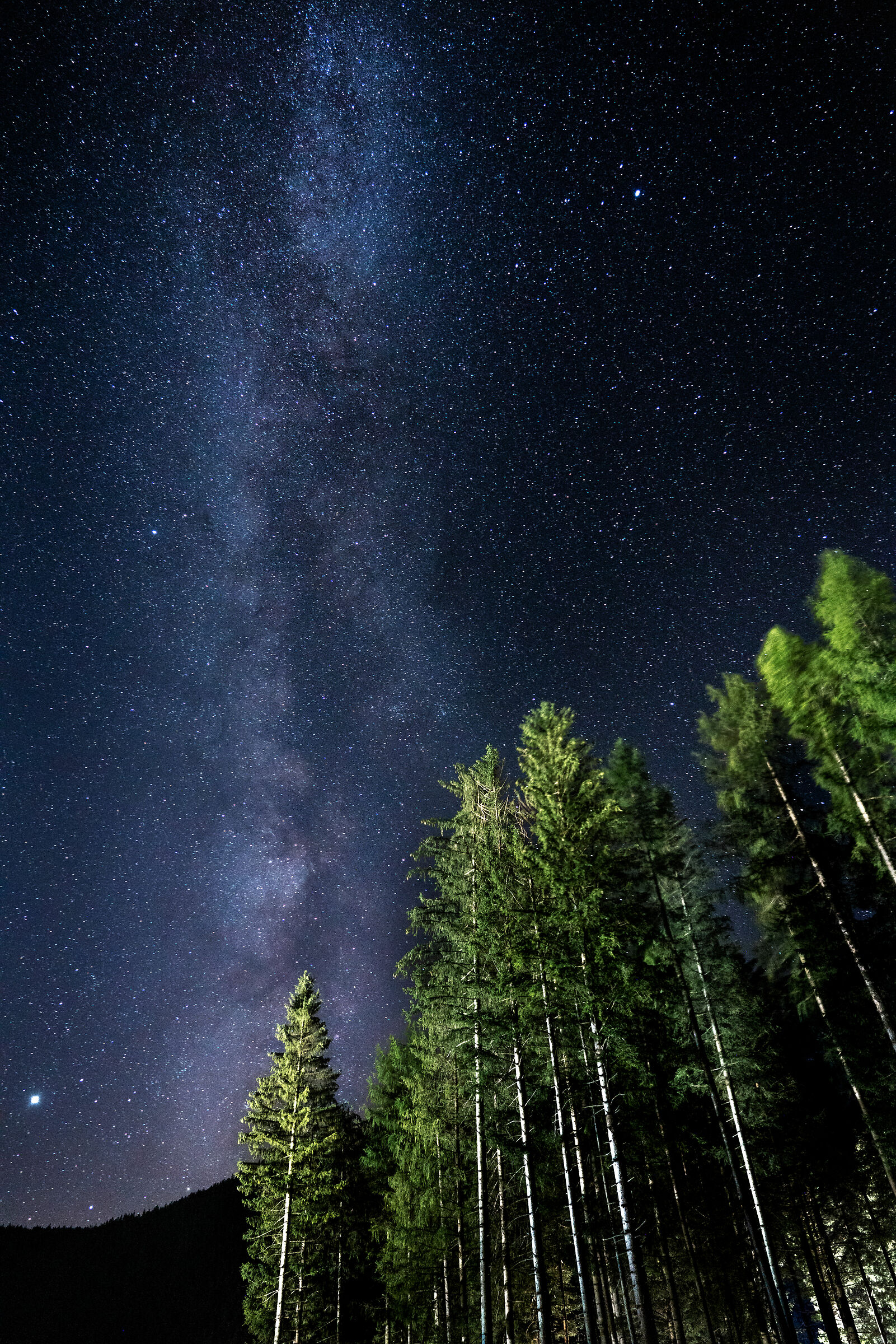 Sotto cieli stellati