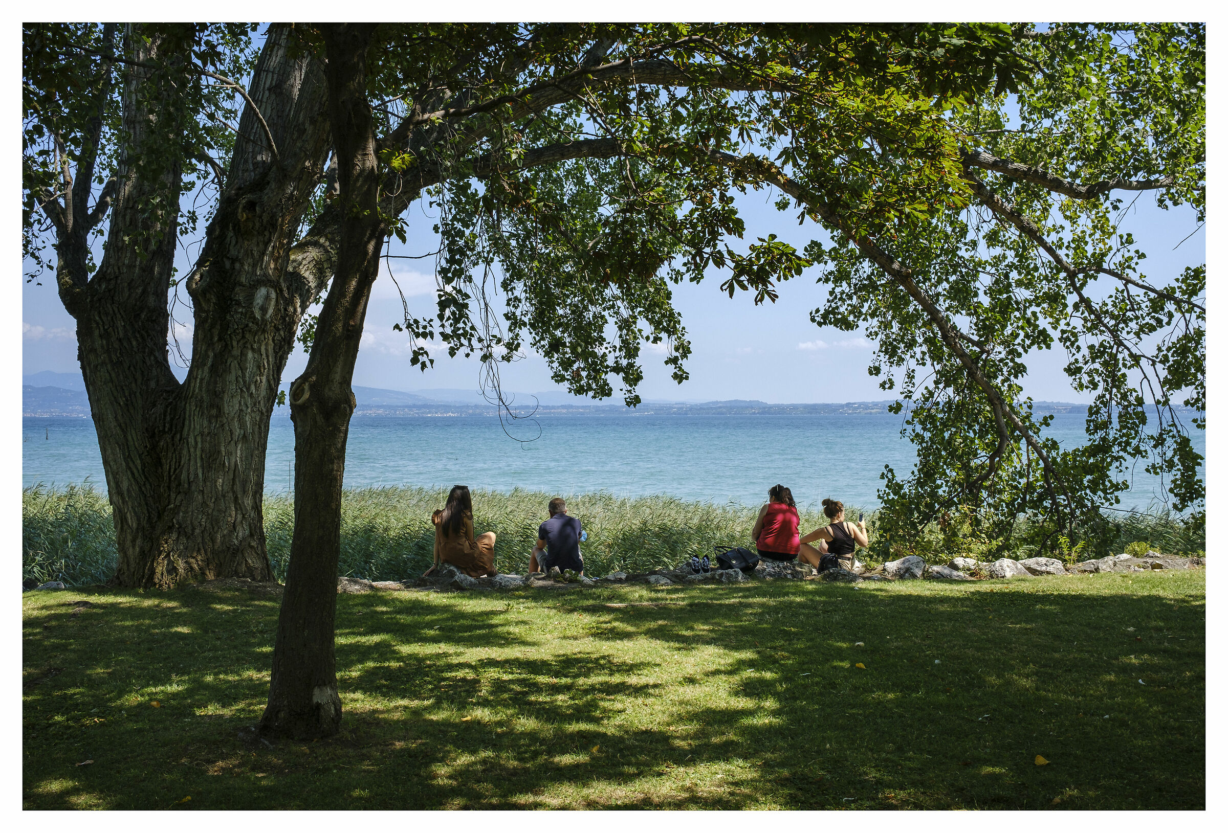 cartolina dal lago ..