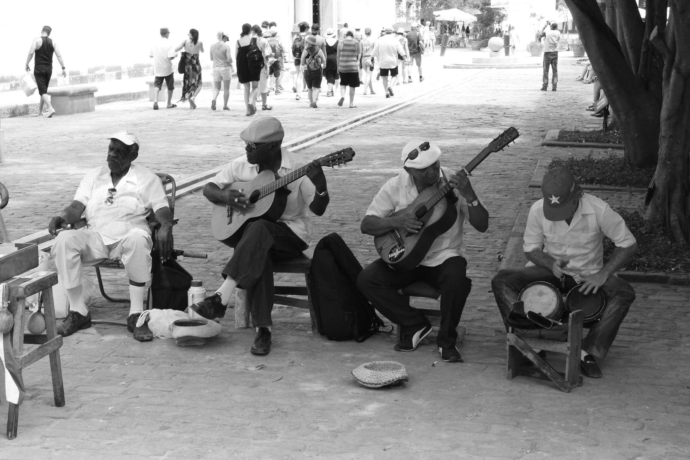 Musicians in Havana