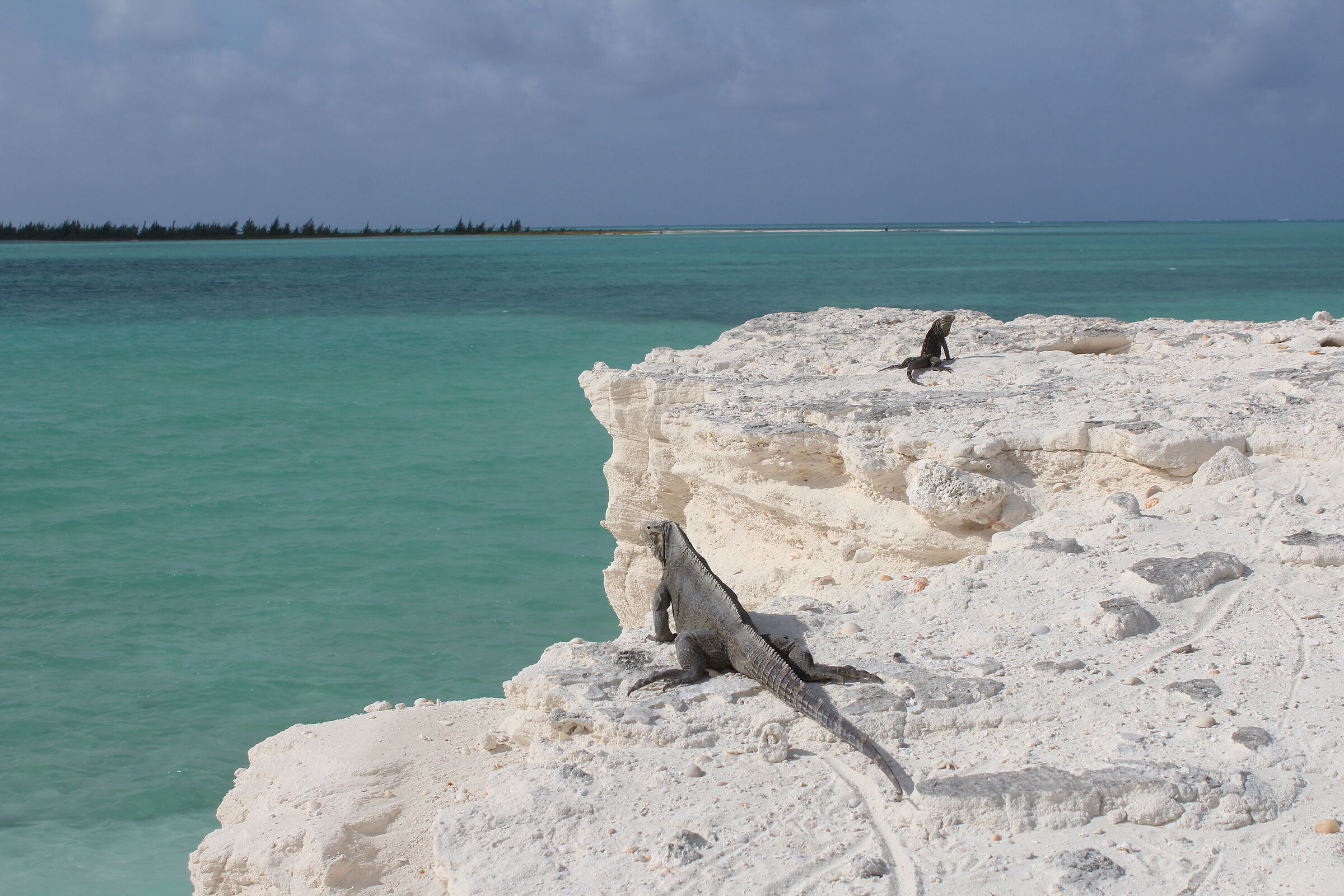 Varani Island near Cayo Largo