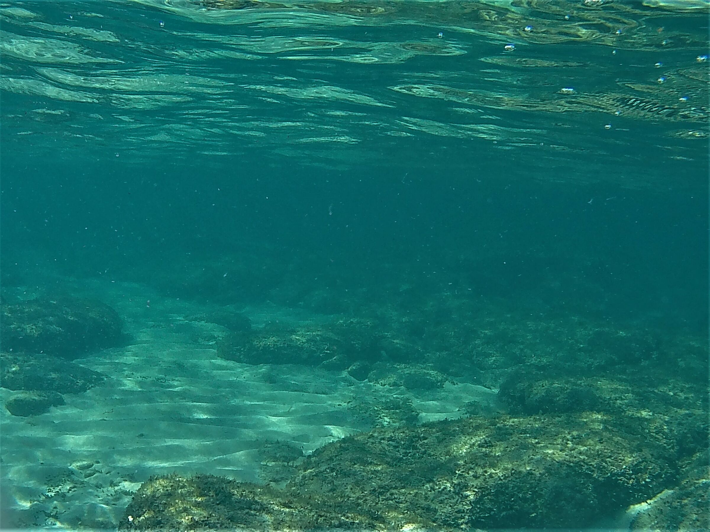 At the bottom of the sea