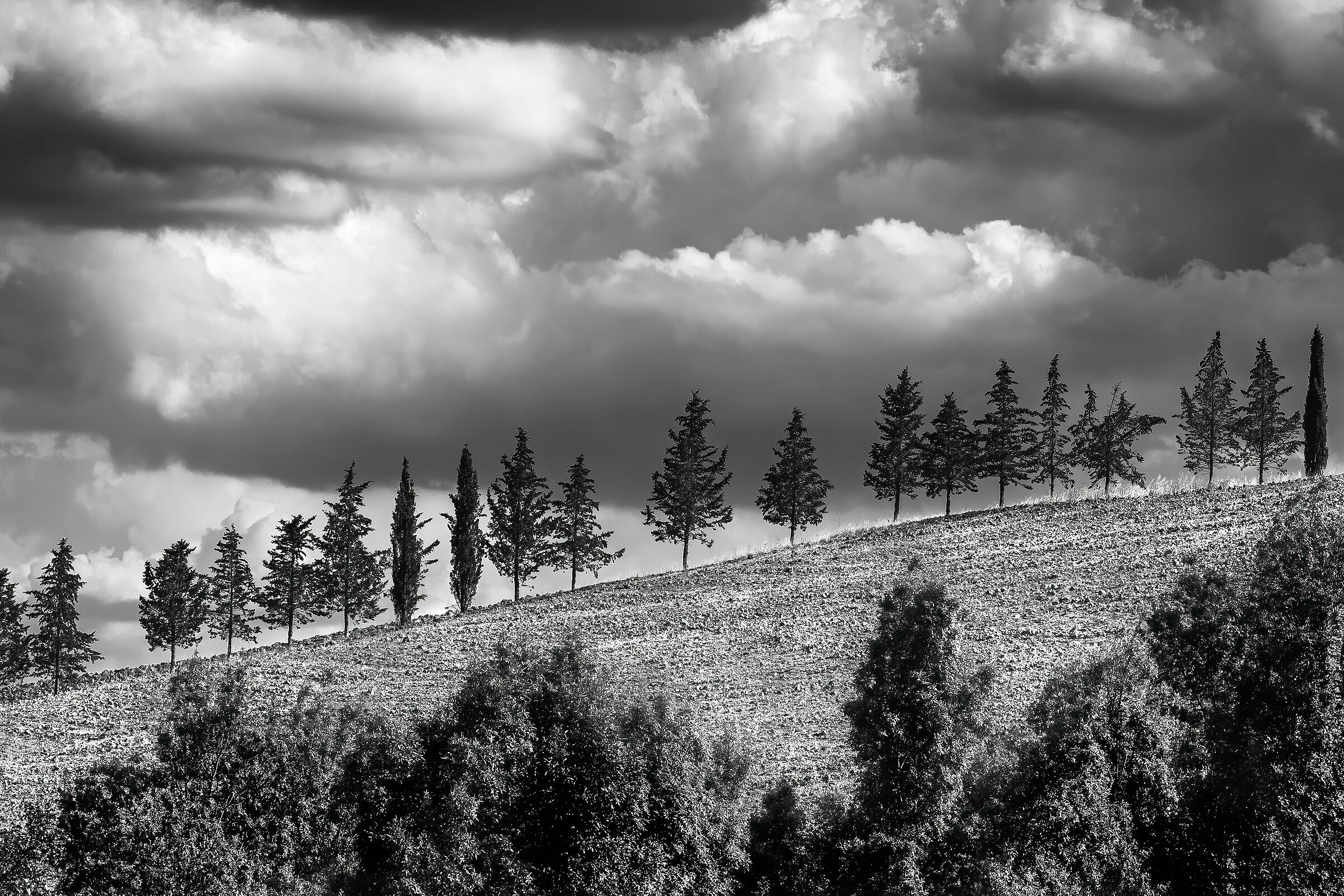 fra toscana e lazio,pressi san casciano (si)