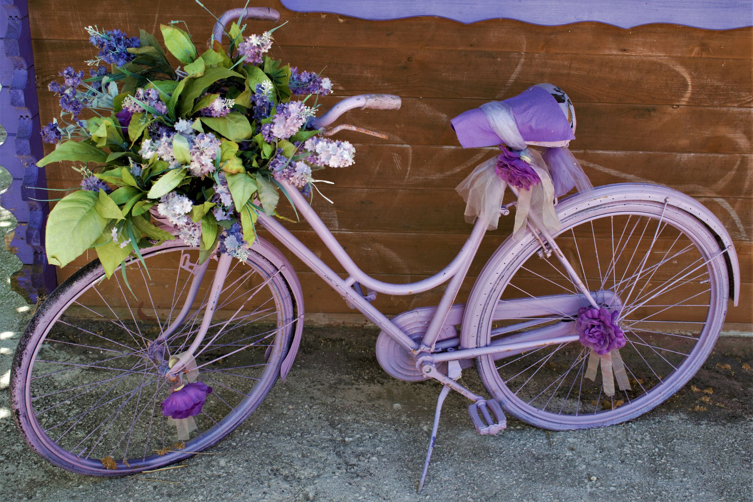 La bici della lavanda