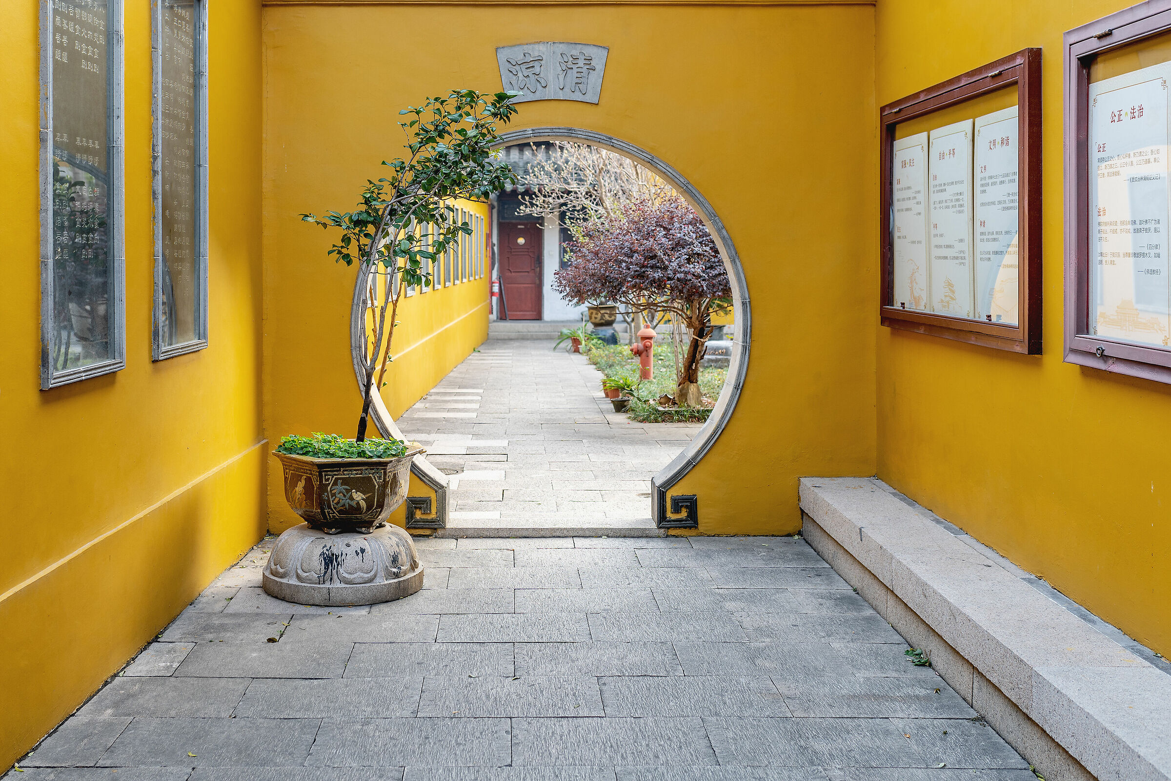 Yellow Peace, New York