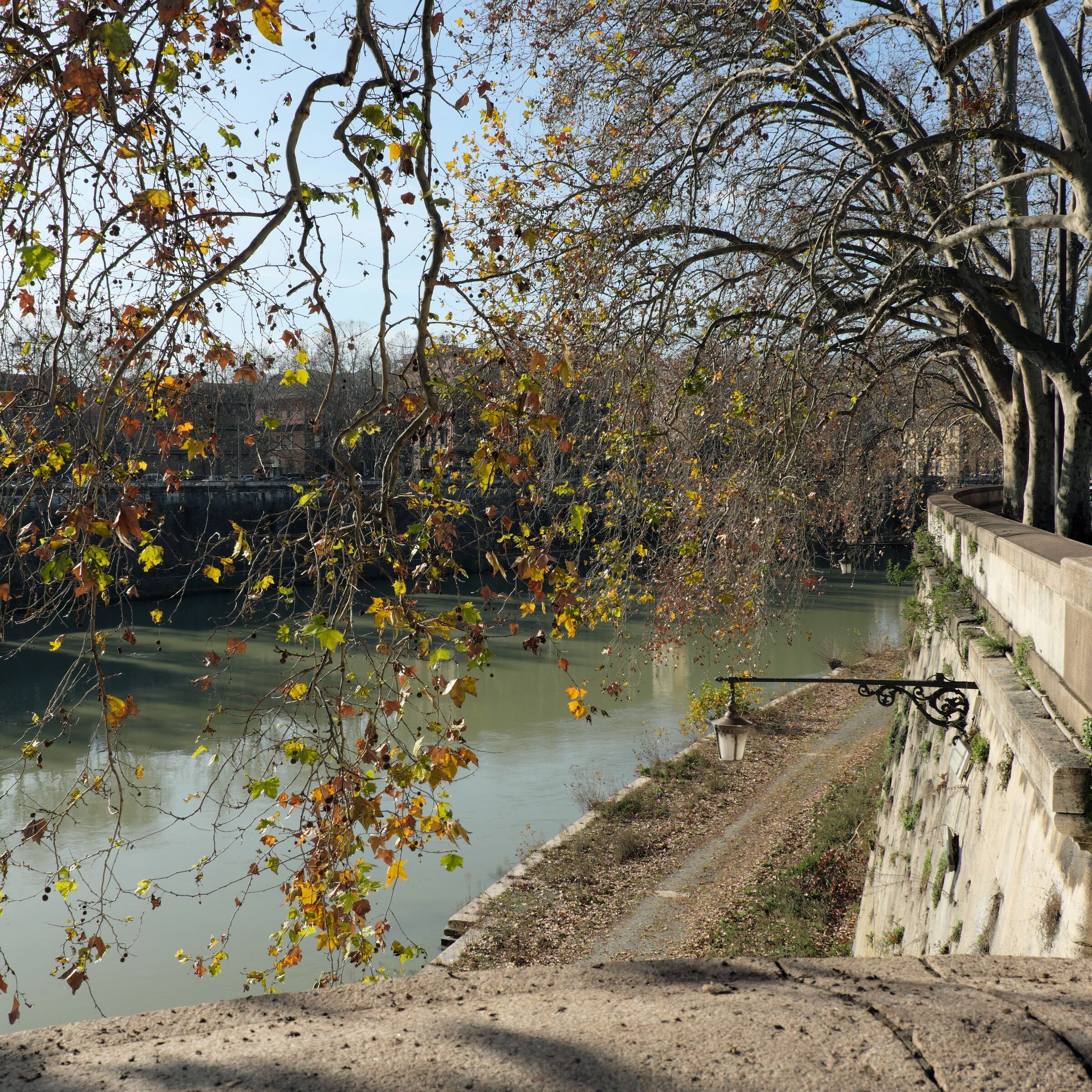 Lungotevere - Roma , 2018