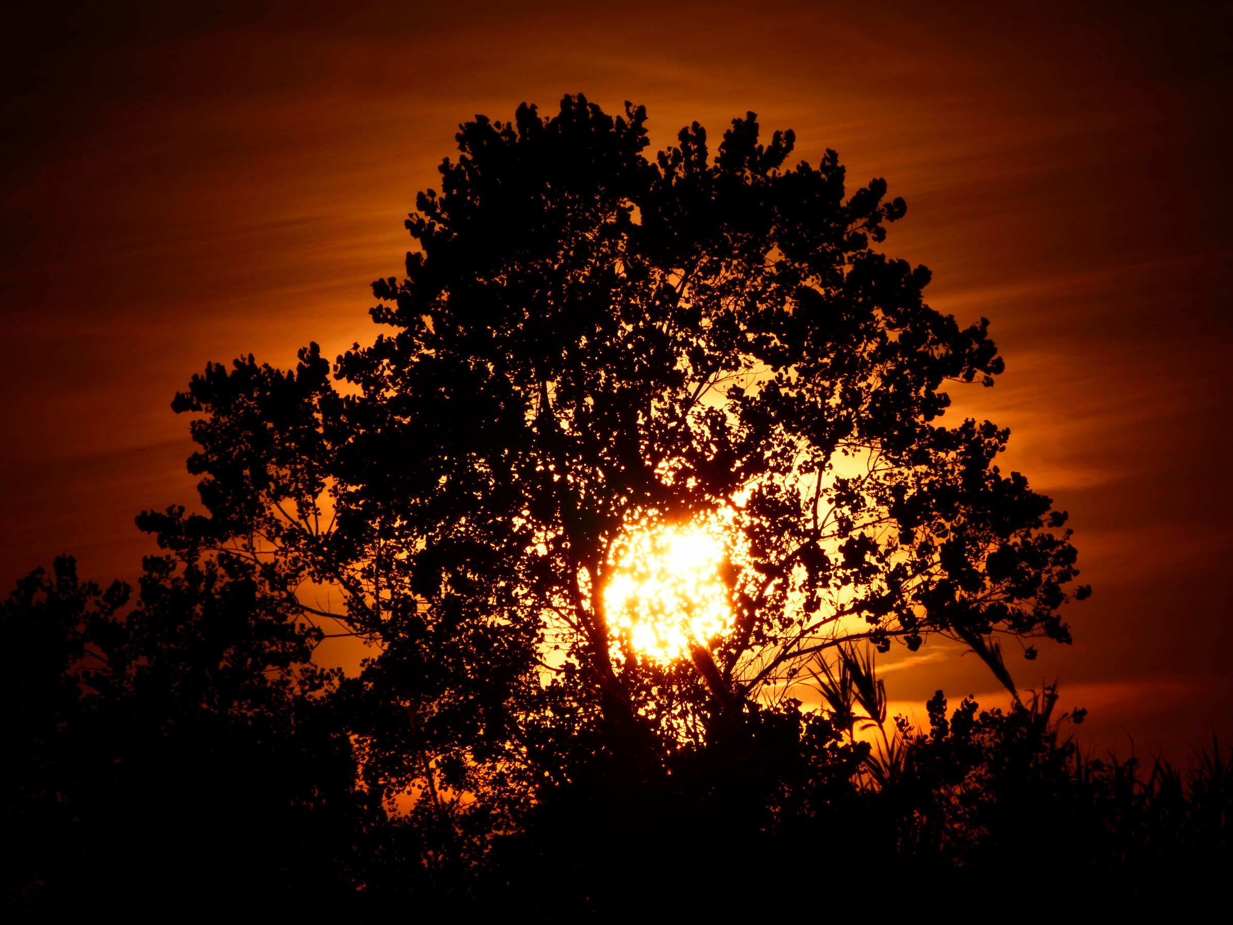 Voglio trattenere il sole