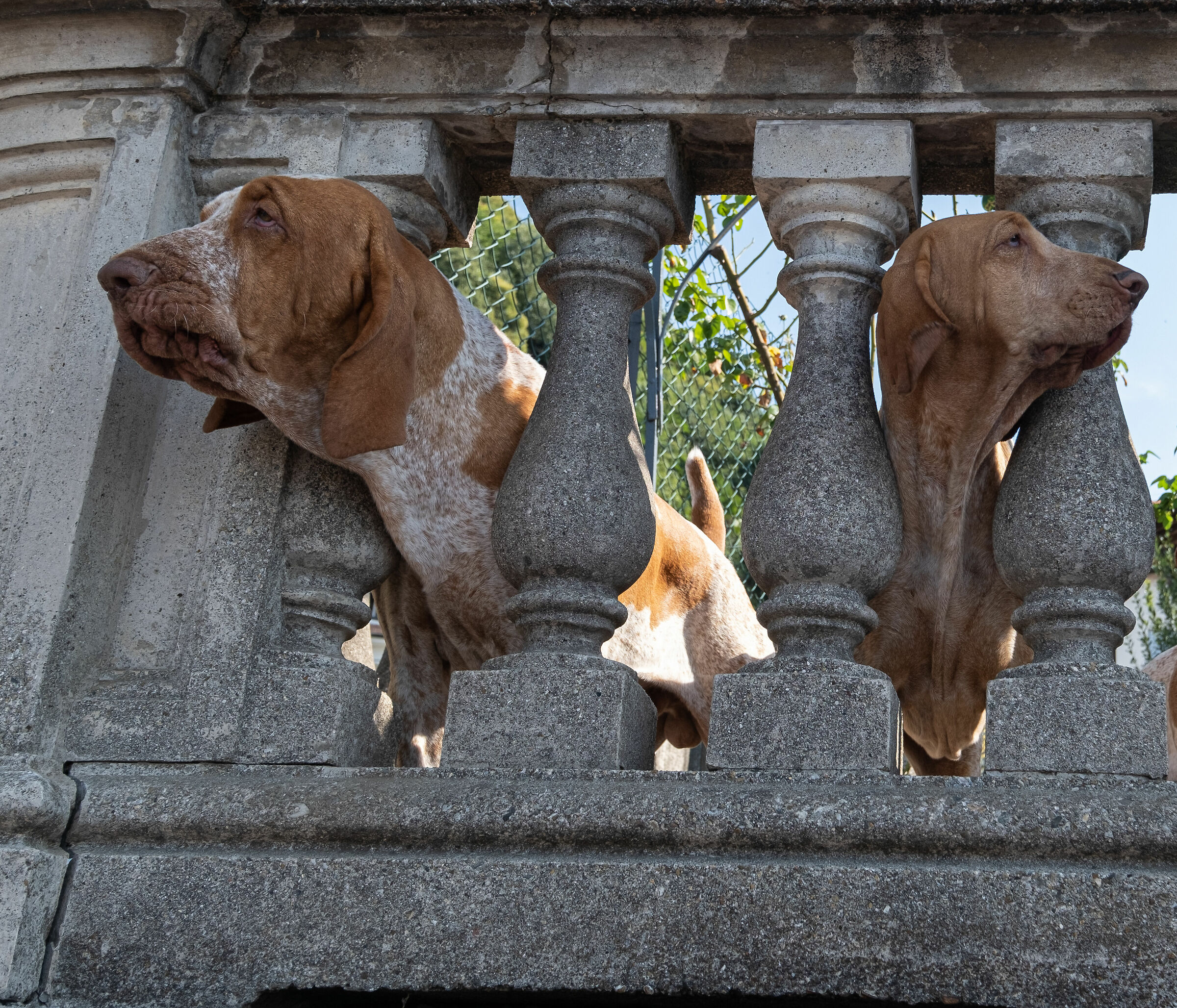 io guardo di qui tu di la