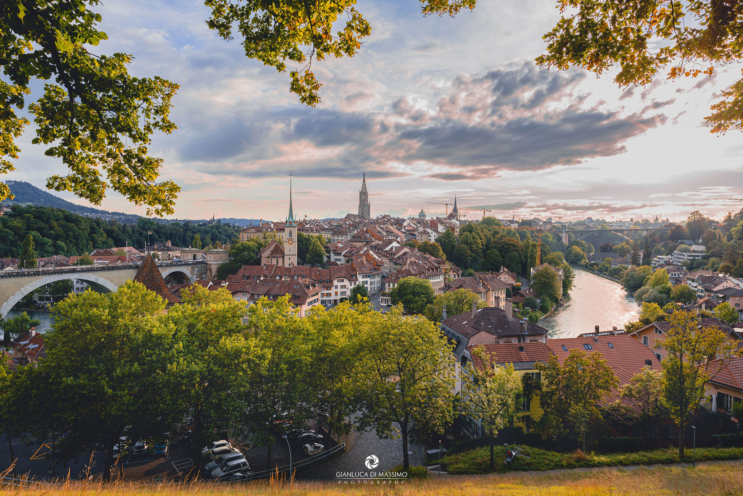 Capitale Svizzera In Cornice d'Albero