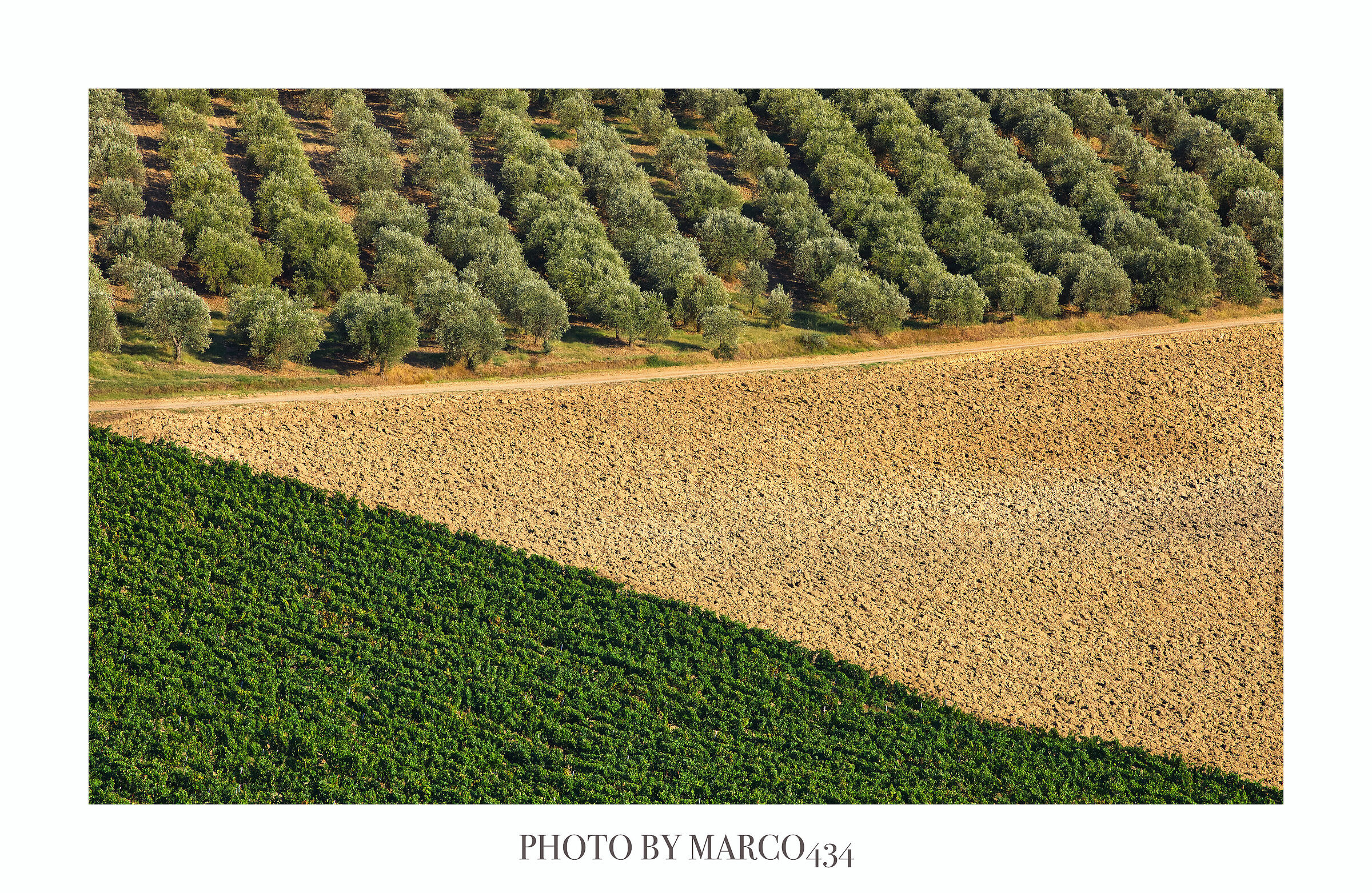 Terre del Chianti Fiorentino