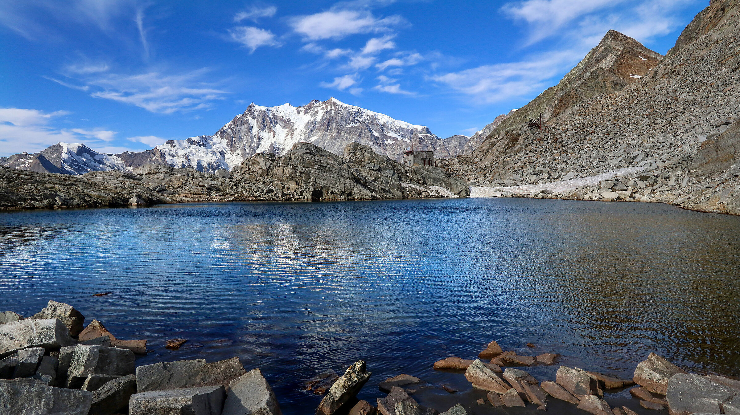 The Rose in the Emerald