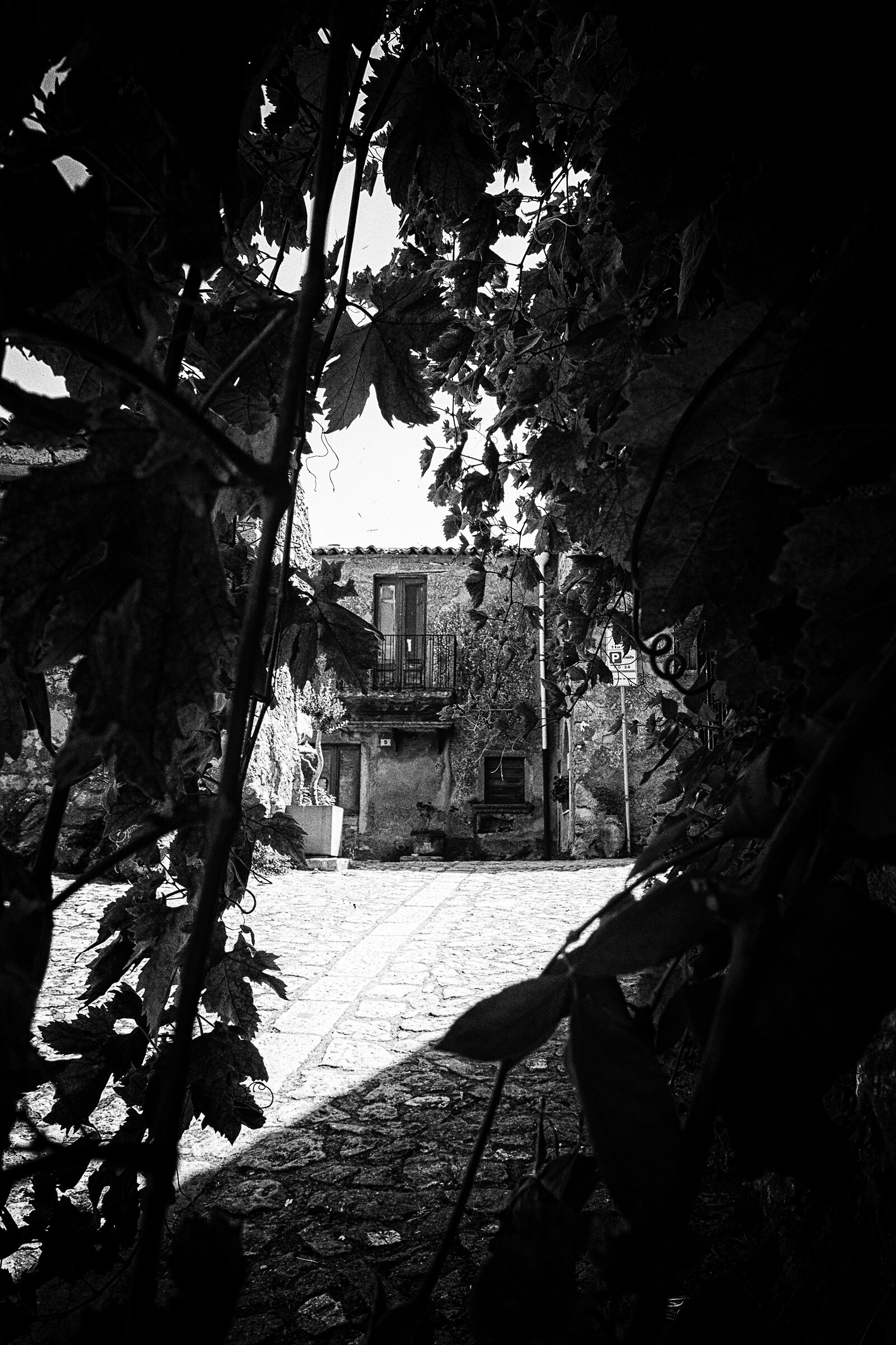 Montalbano Elicona (ME)