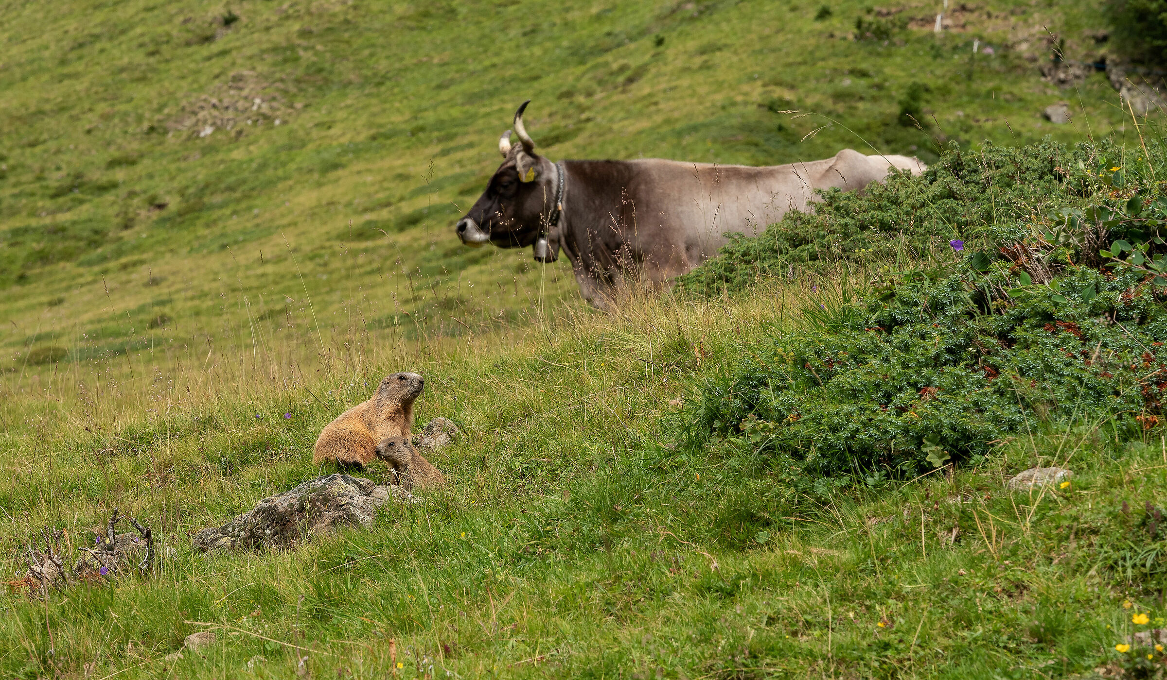 Just a fun moment :)