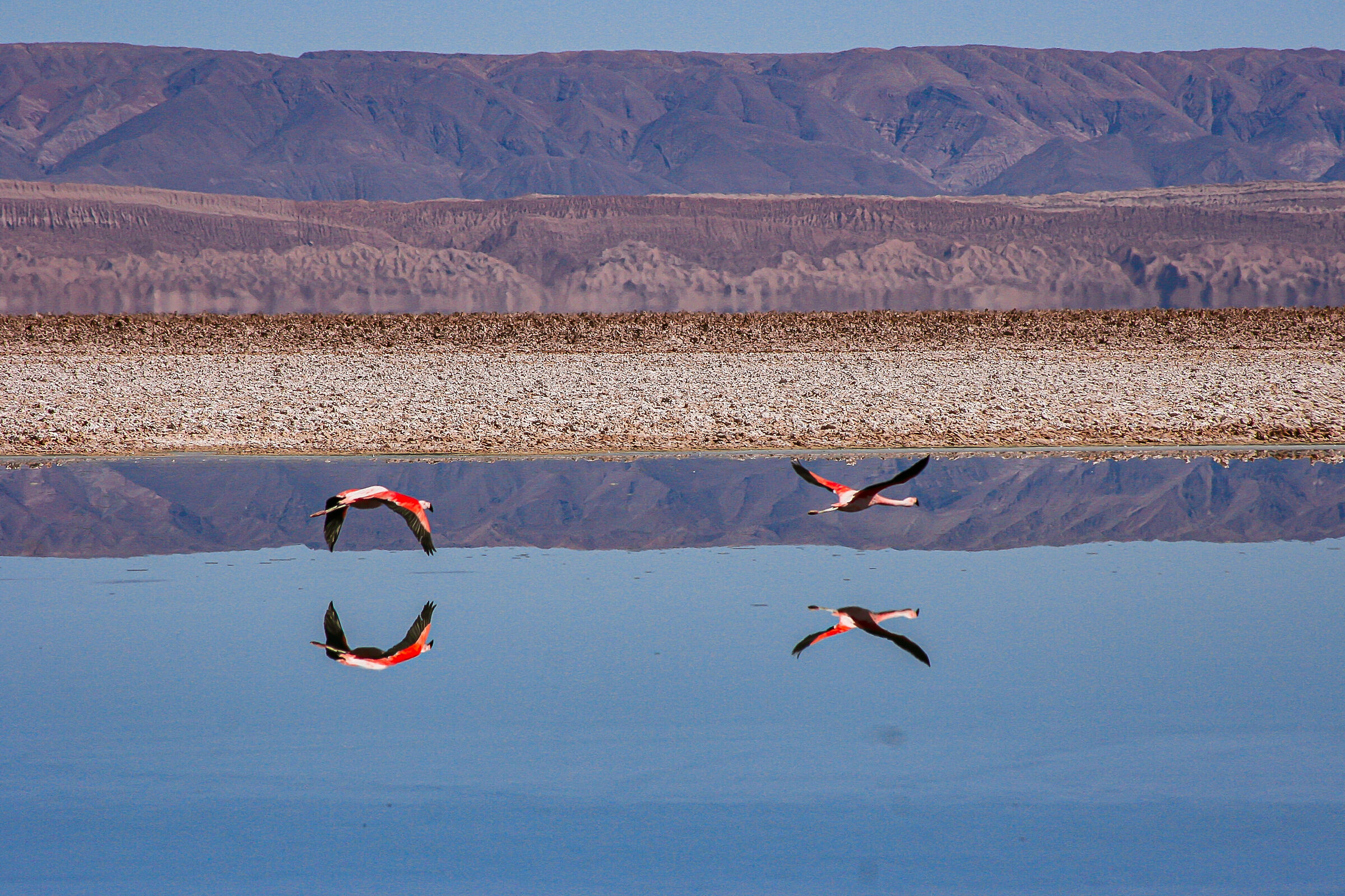 On the Ande.In Bolivia.