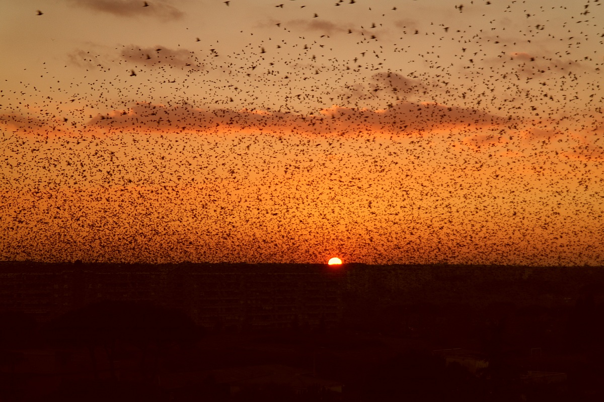 Stormo  Samsung nx200 18-55