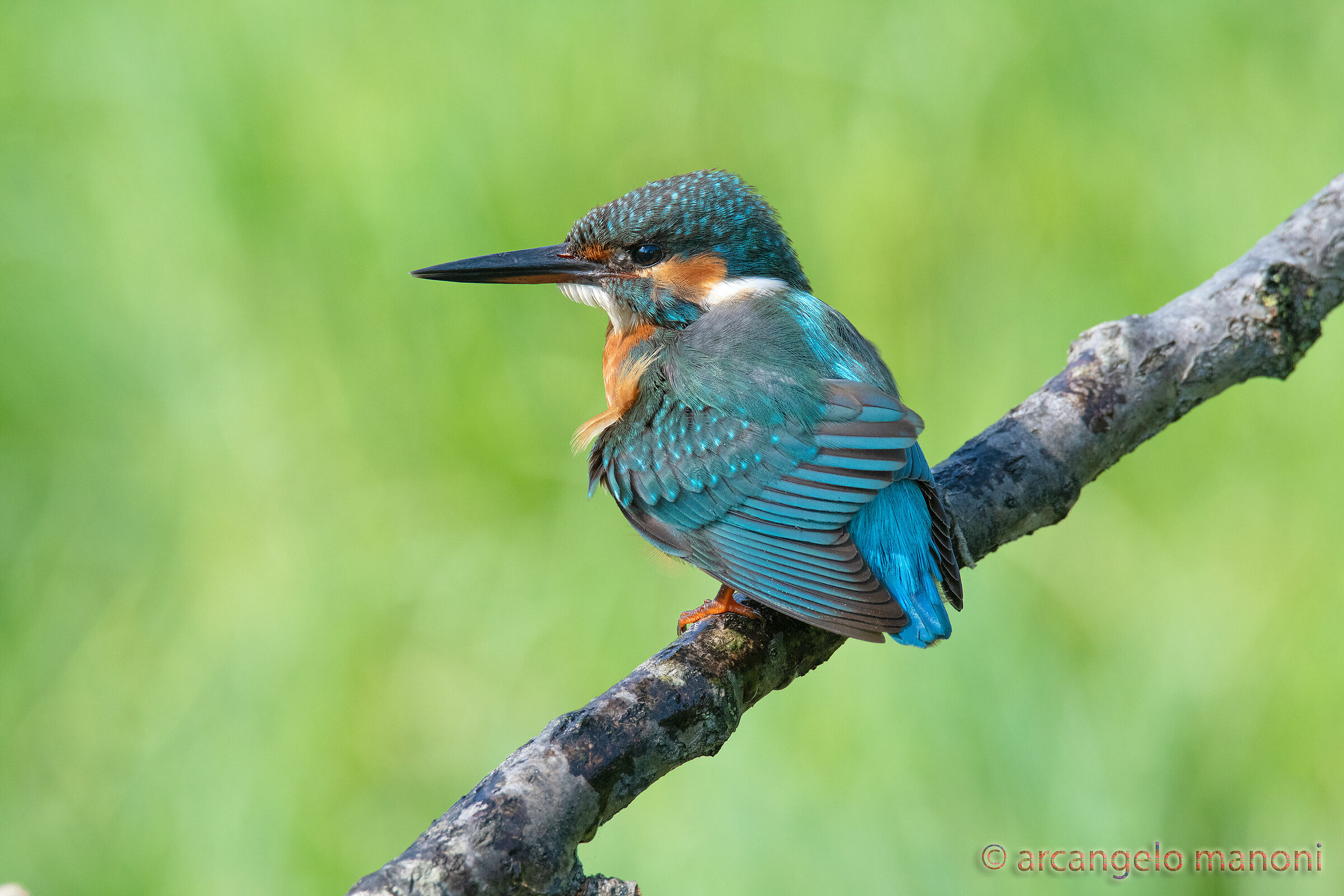 Showing off the instruments of flight