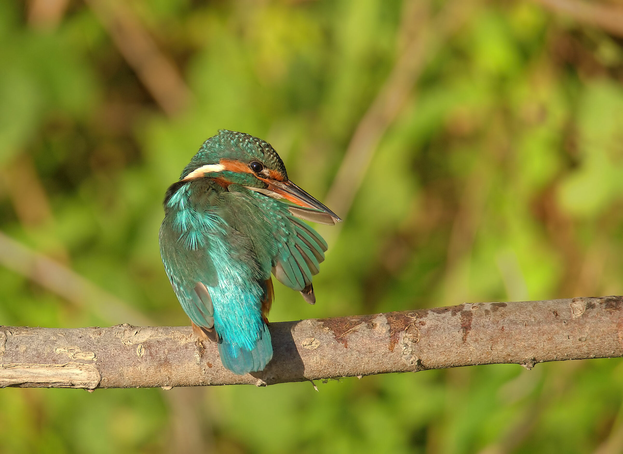 Female fisherman