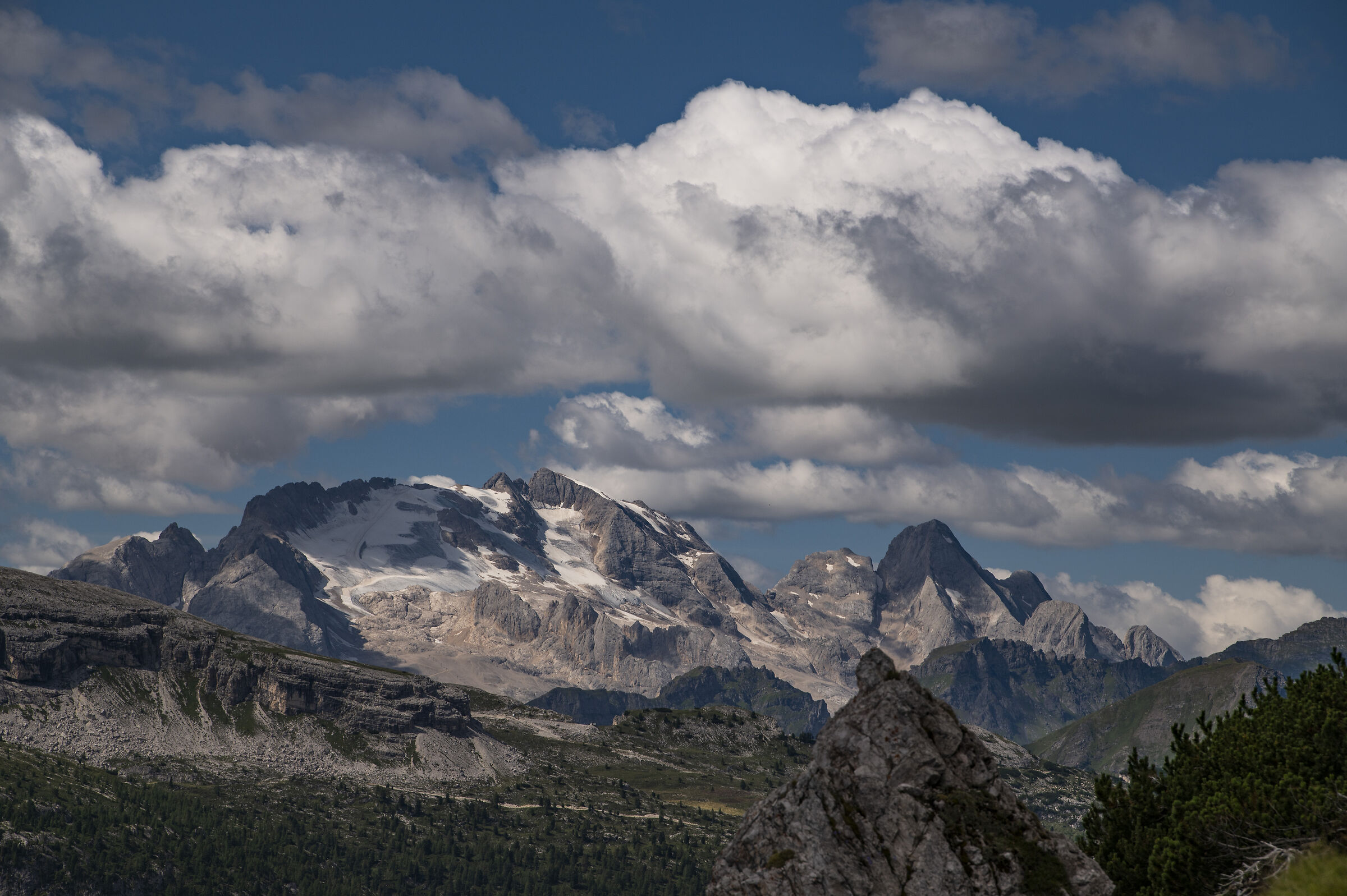 marmolada