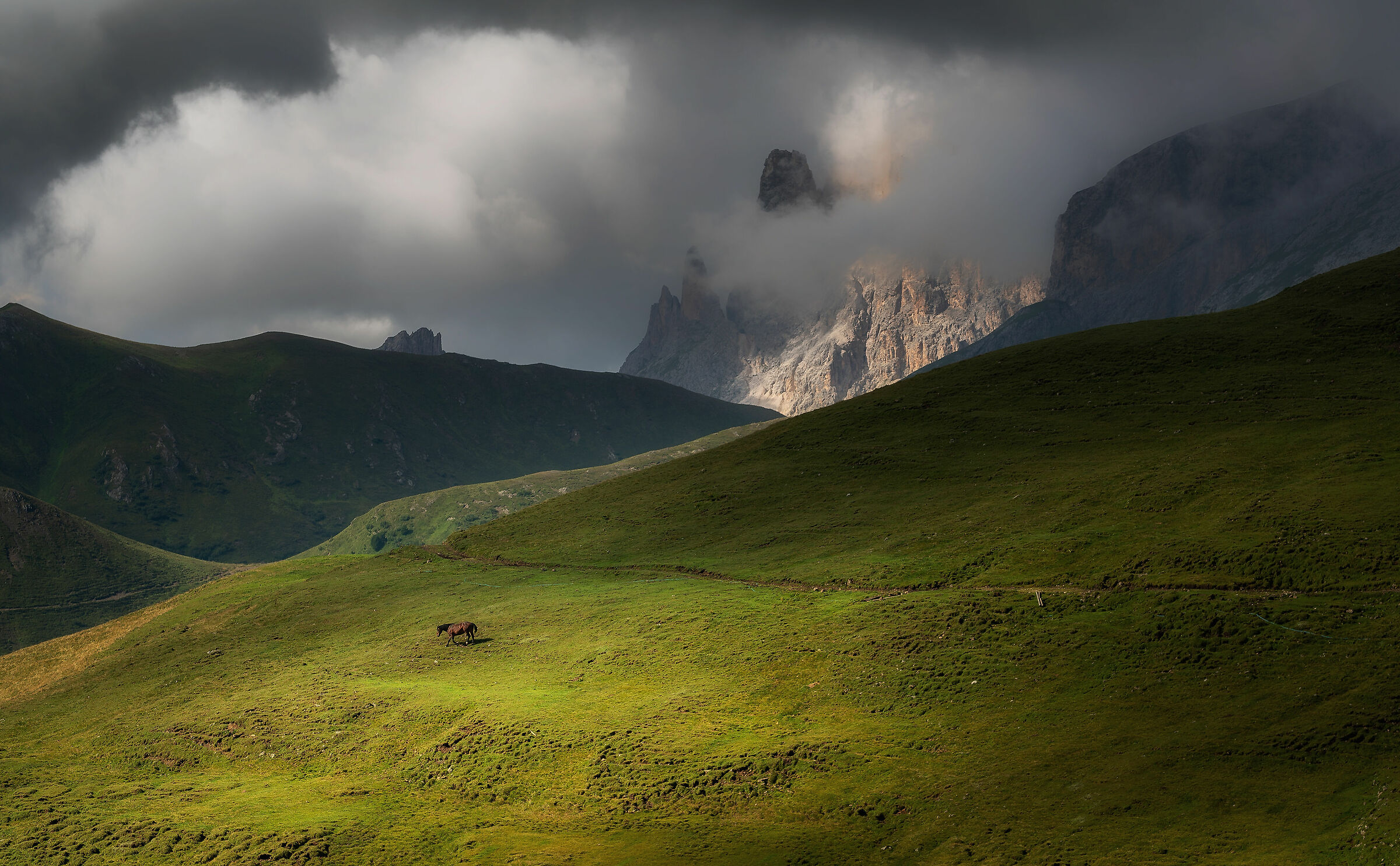 Cavallo solitario nelle Dolomiti