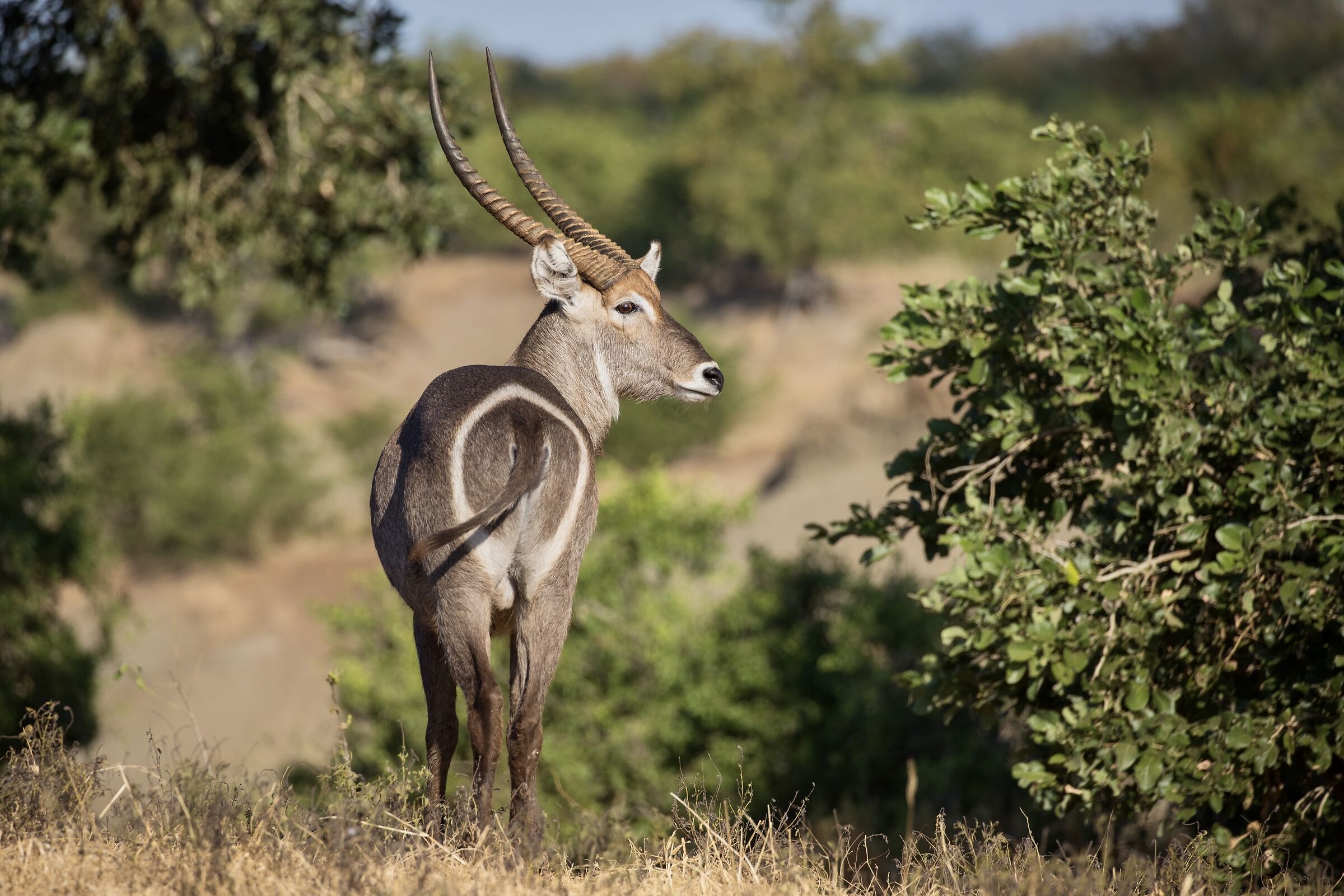 Quella luce nei tuoi occhi