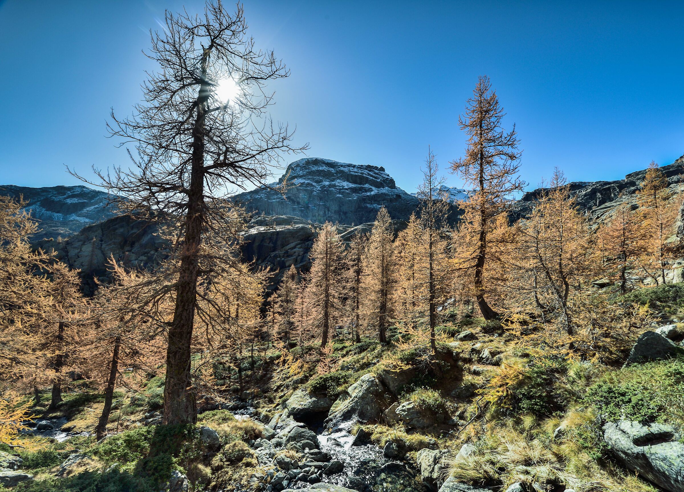 in discesa dal Grand Lac
