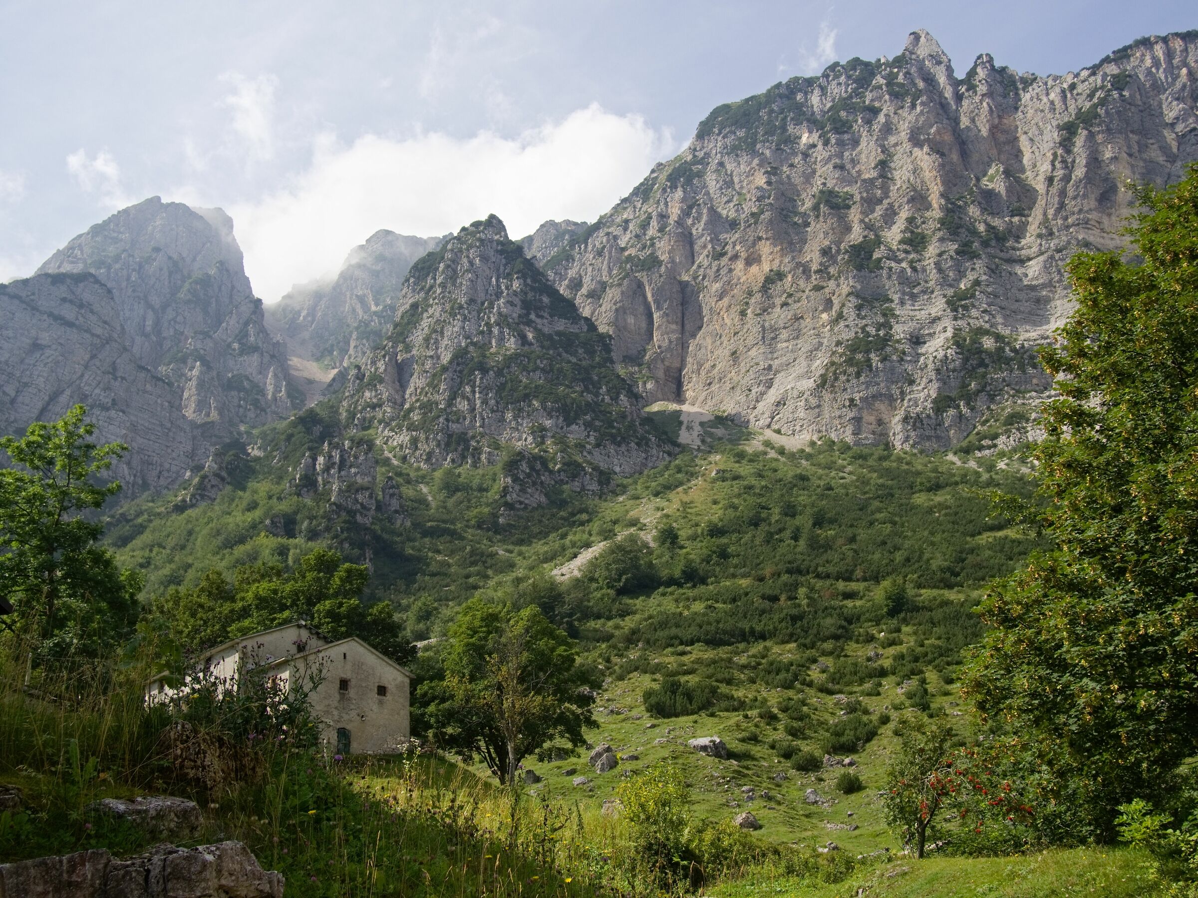 Cammino dei Grandi Alberi III